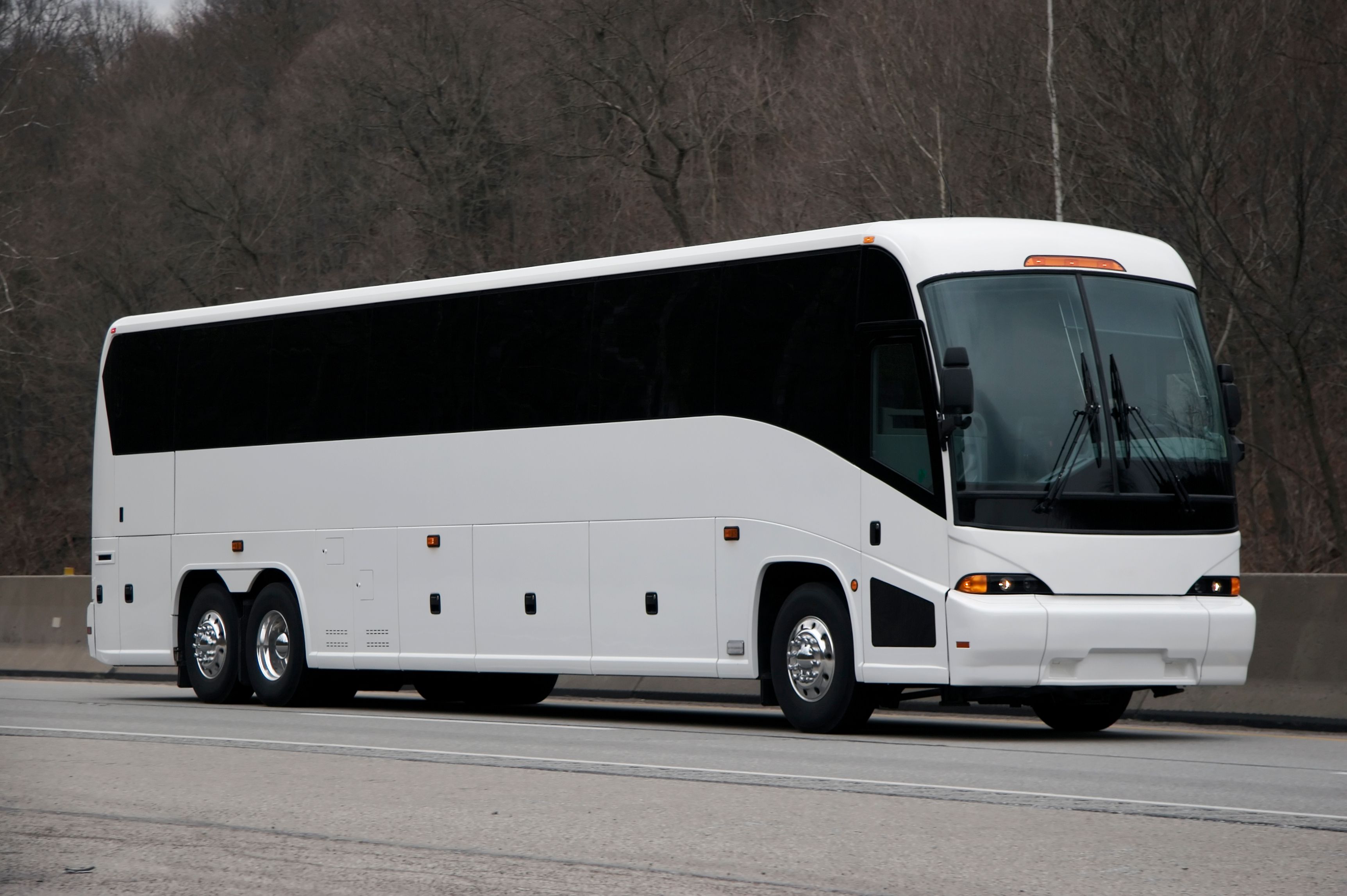 large luxury bus