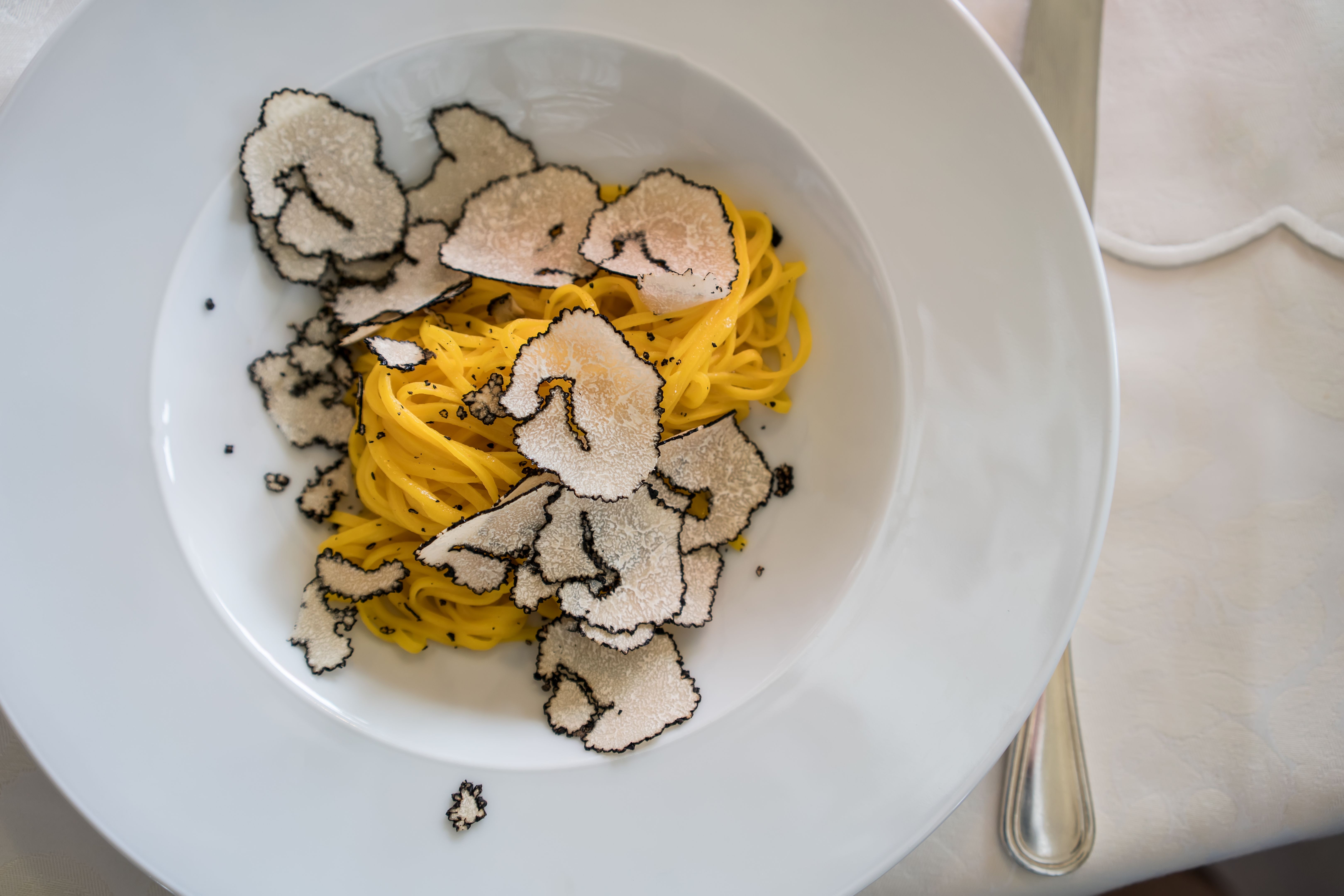 truffle pasta