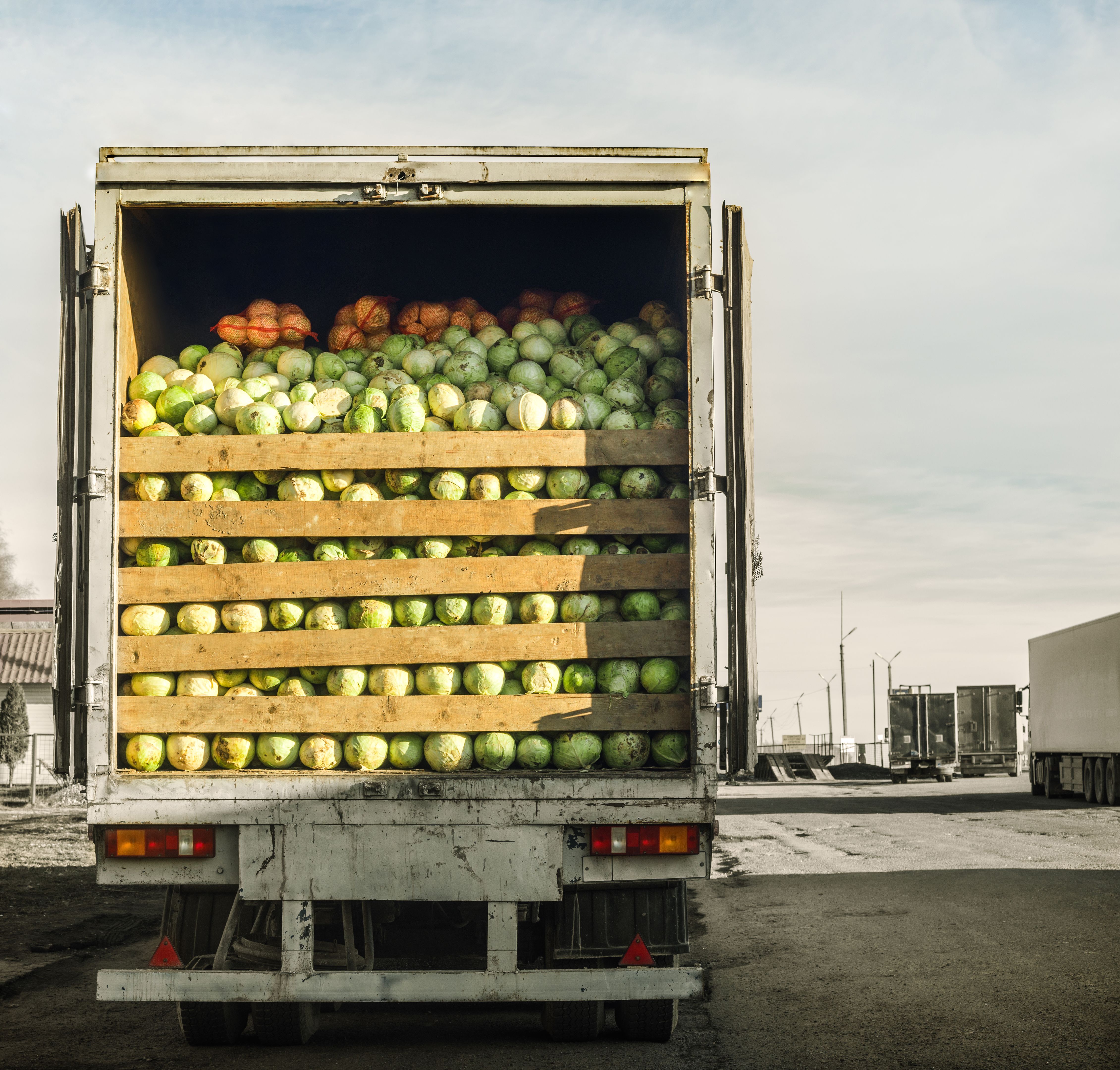 vegetable transport