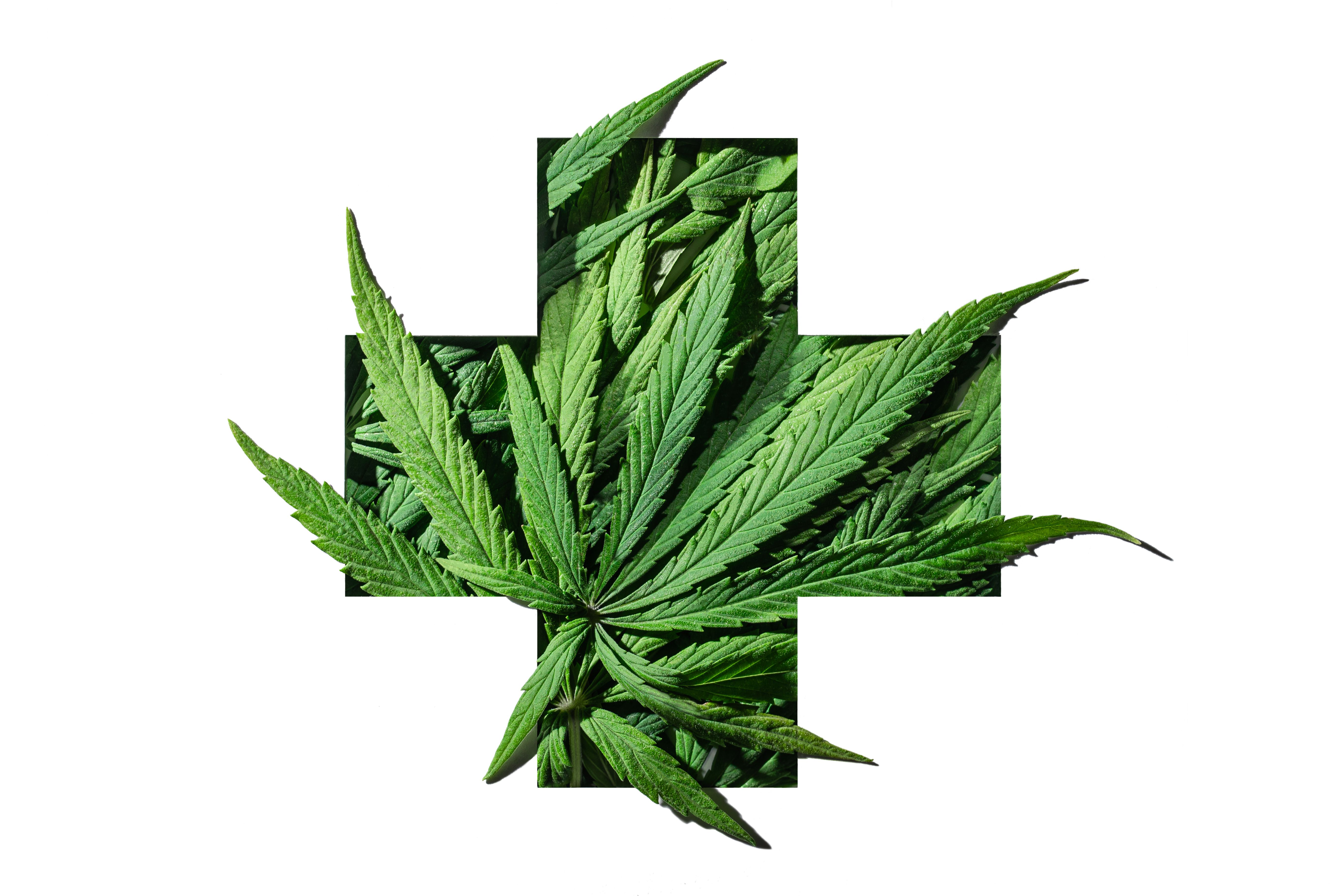 medical cannabis