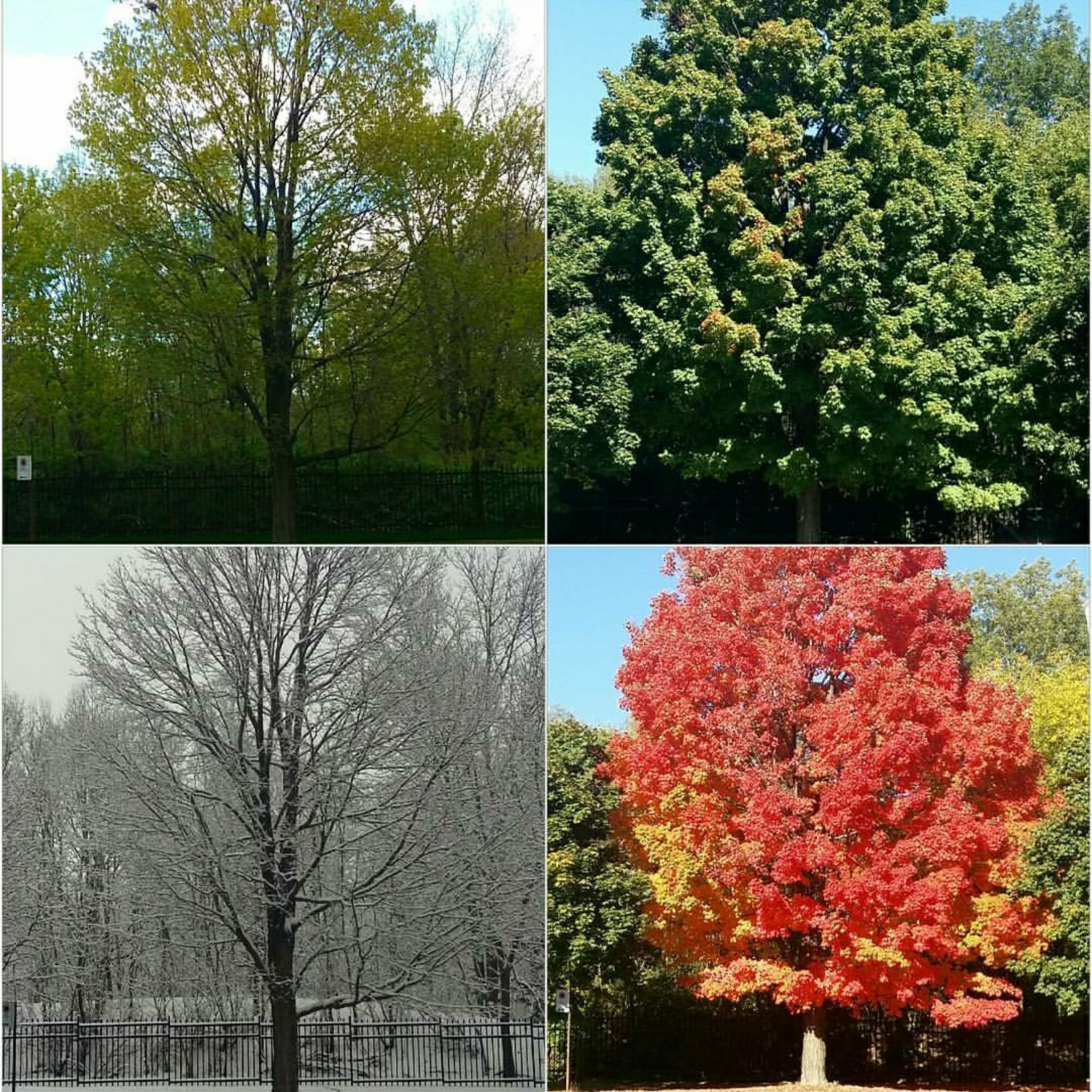 nashotah seasons