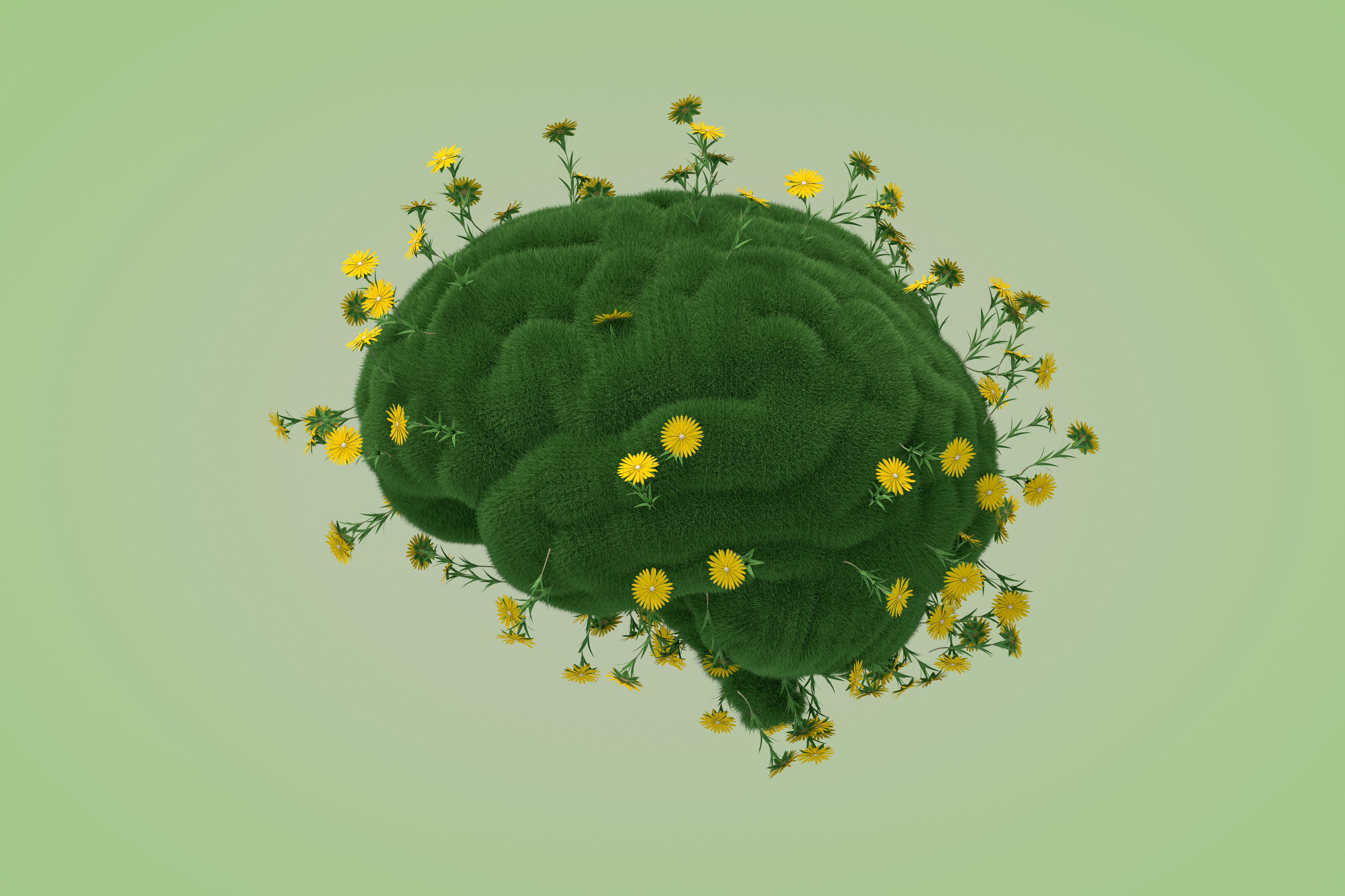 Brain shape with grass and flower, thinking climate change sustainable energy Brain shape with grass and flower, thinking climate change sustainable energy