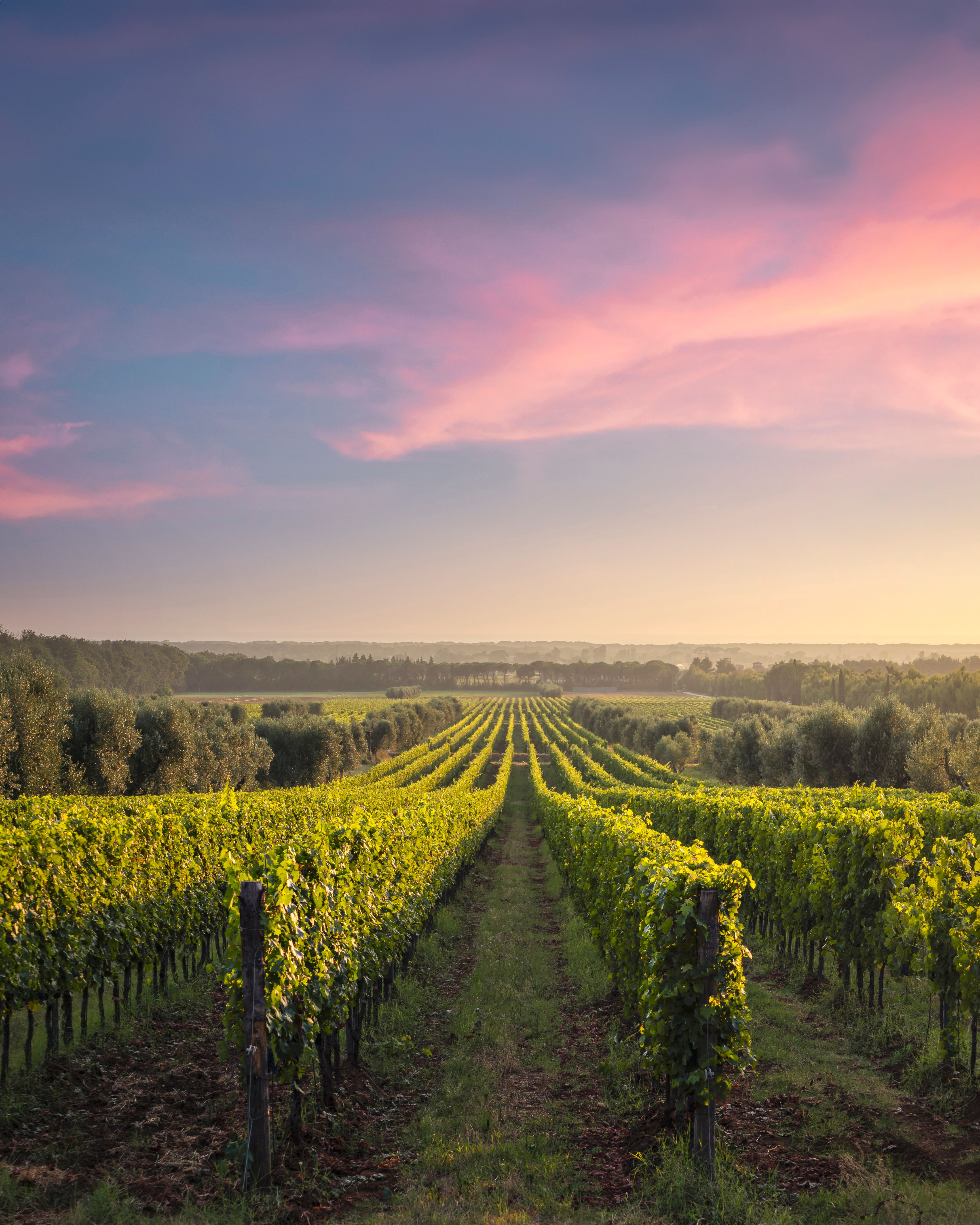 winery