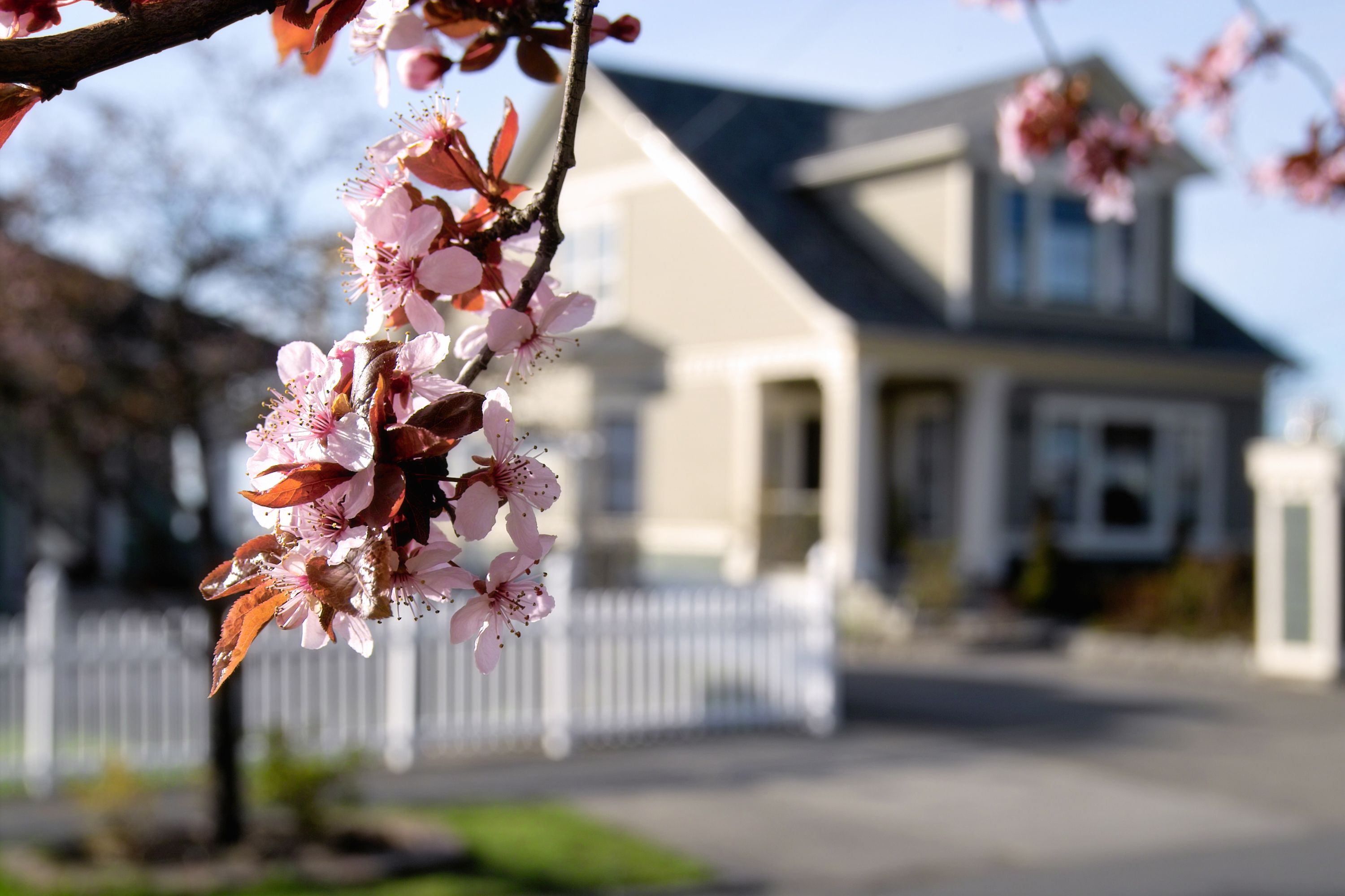 spring home buying