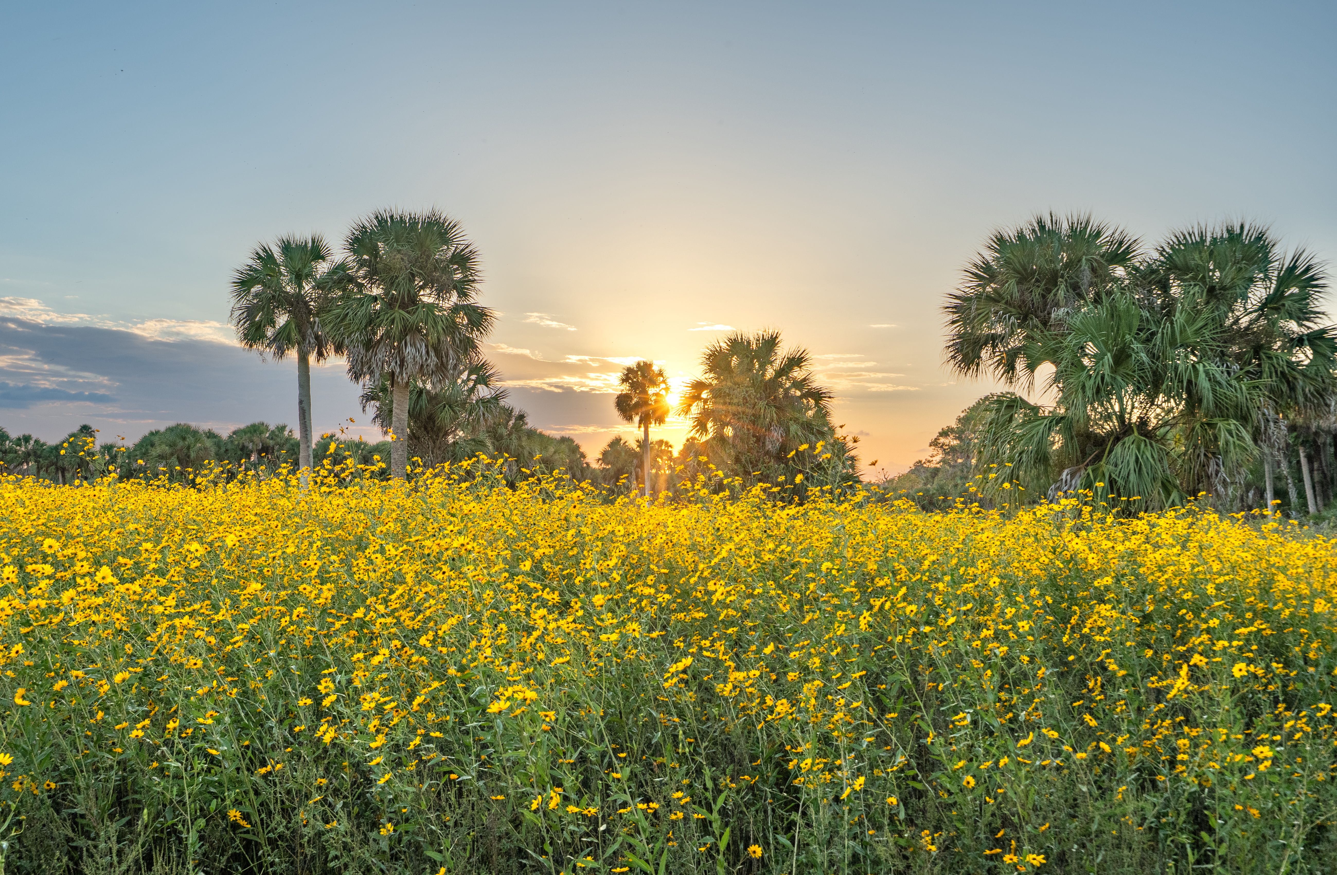 central florida attractions