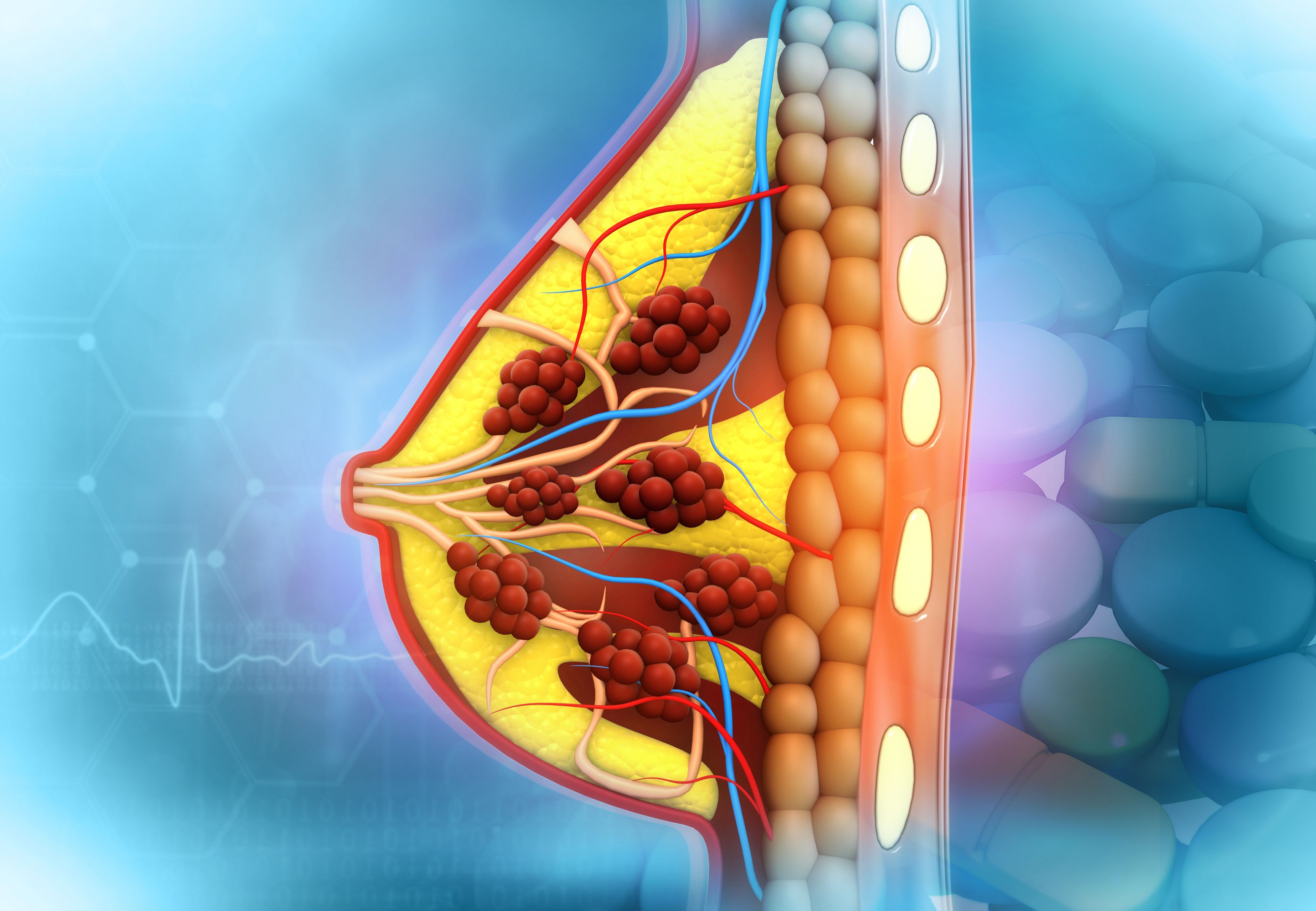 breast health education