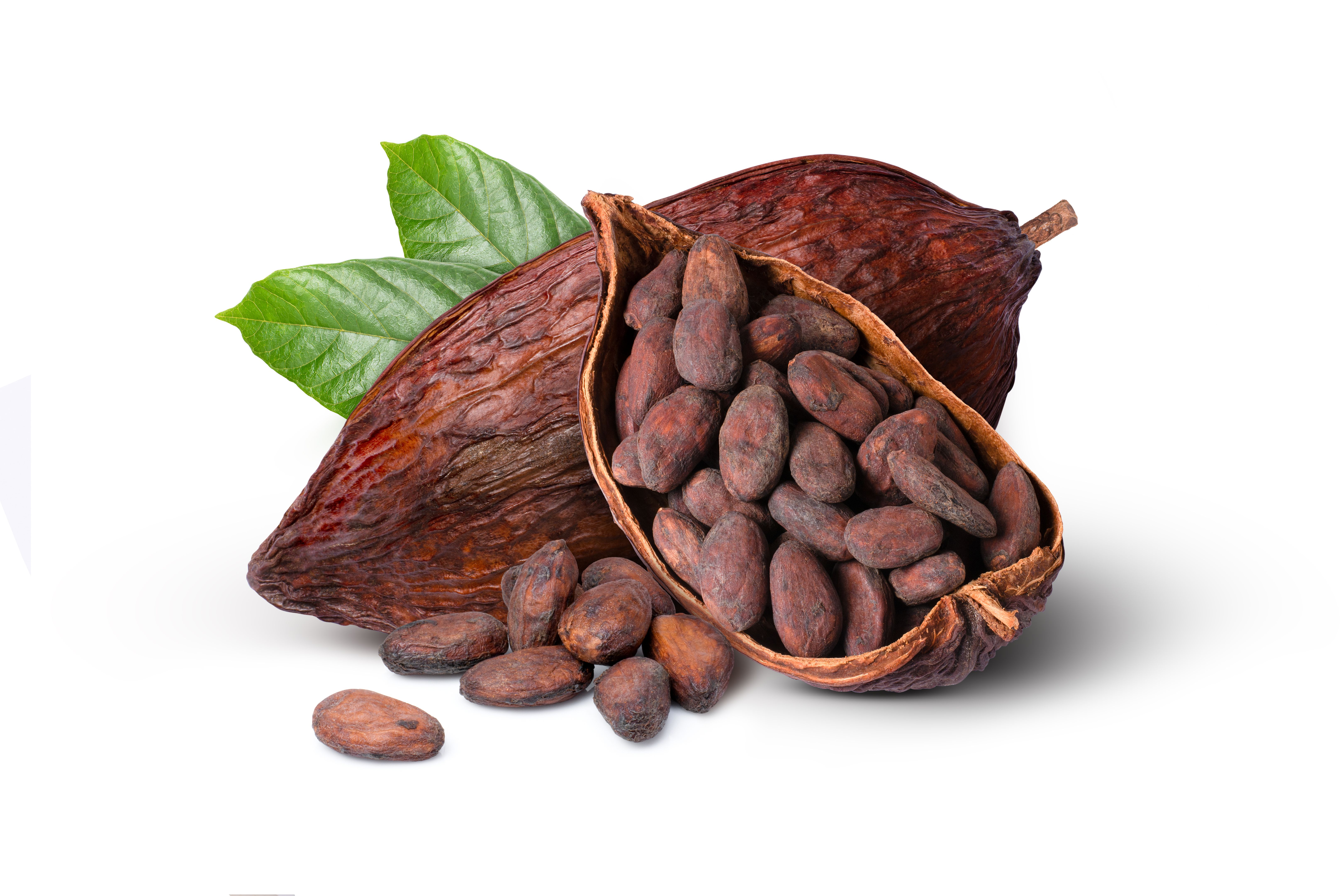 cocoa beans