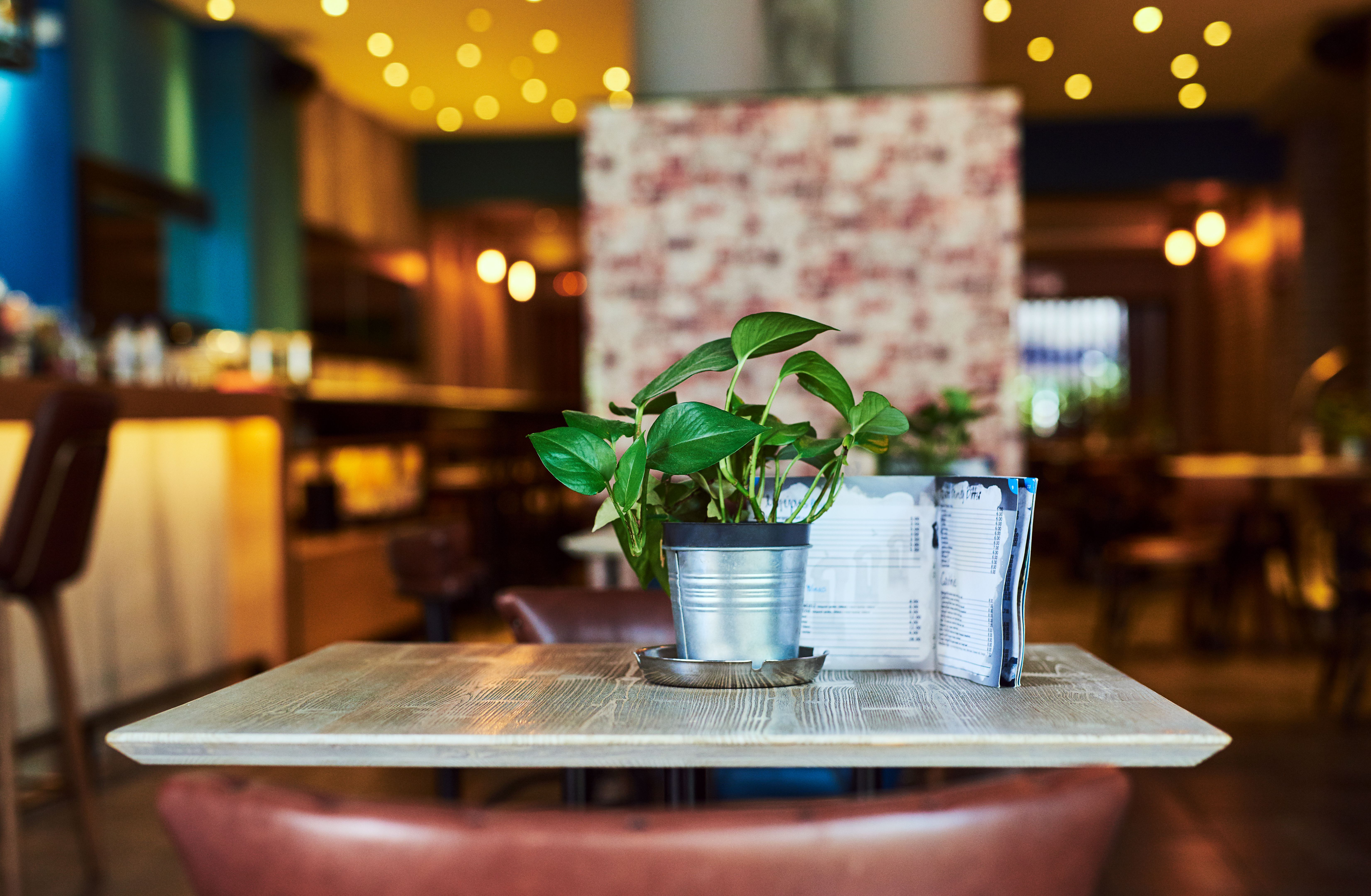 restaurant background setup