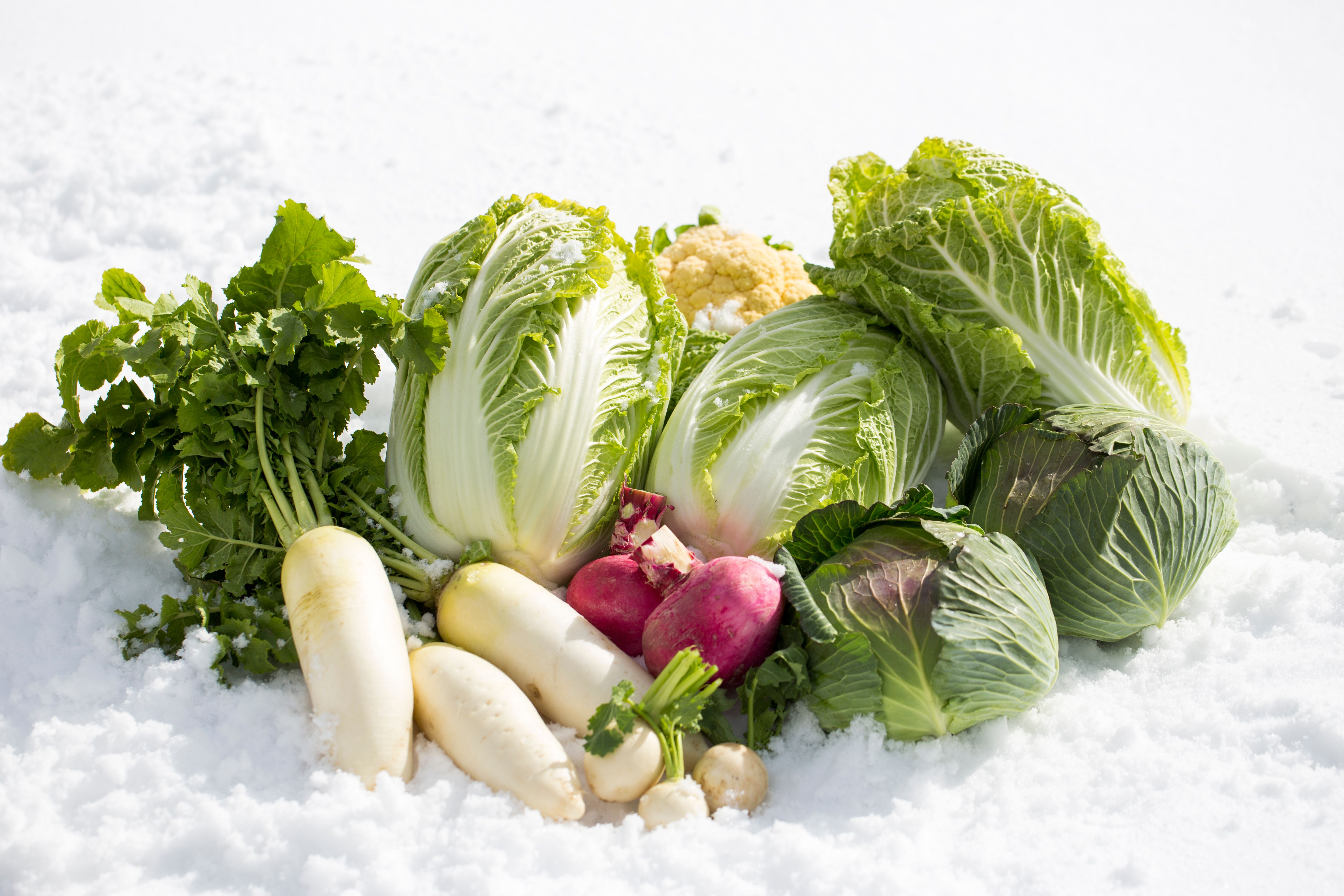 winter vegetables