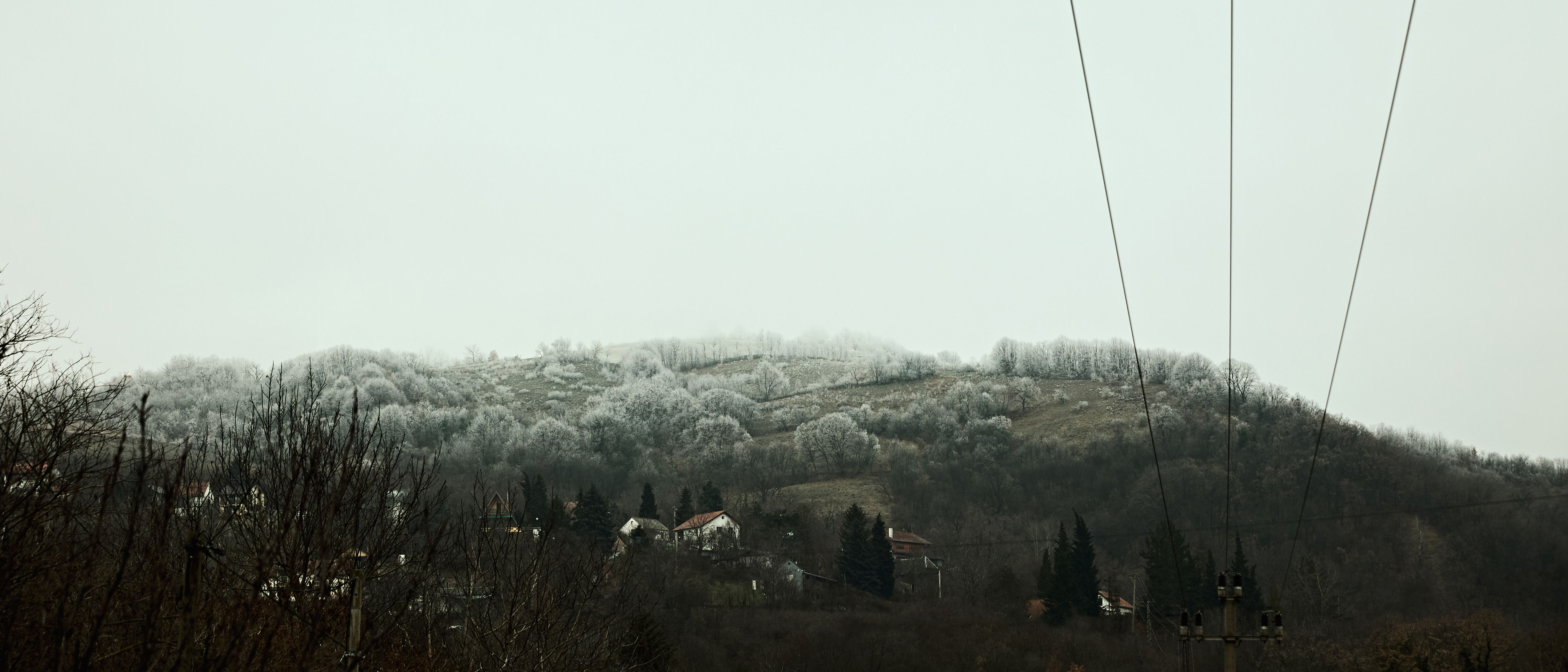 serbian digital landscape