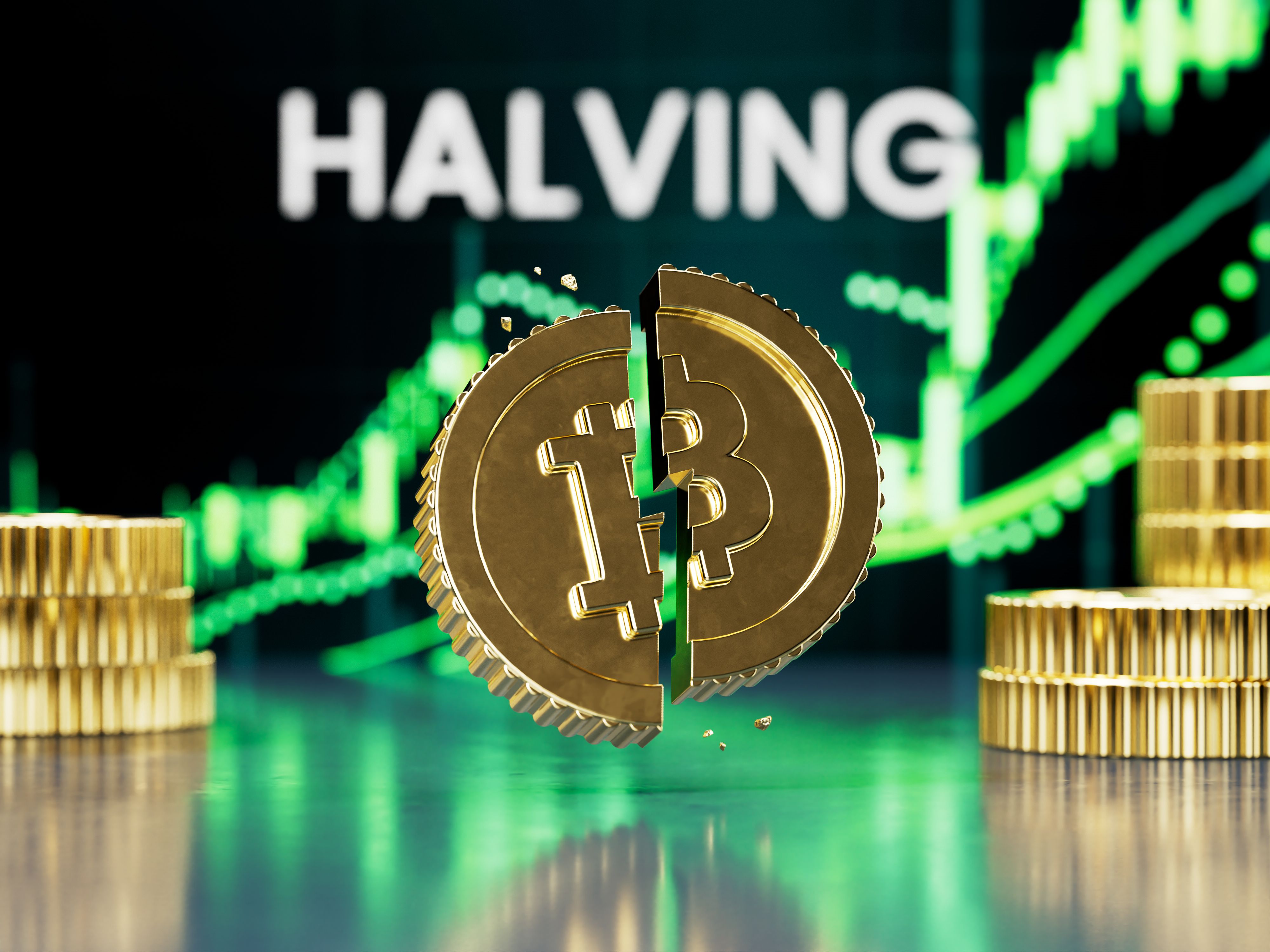 cryptocurrency basics