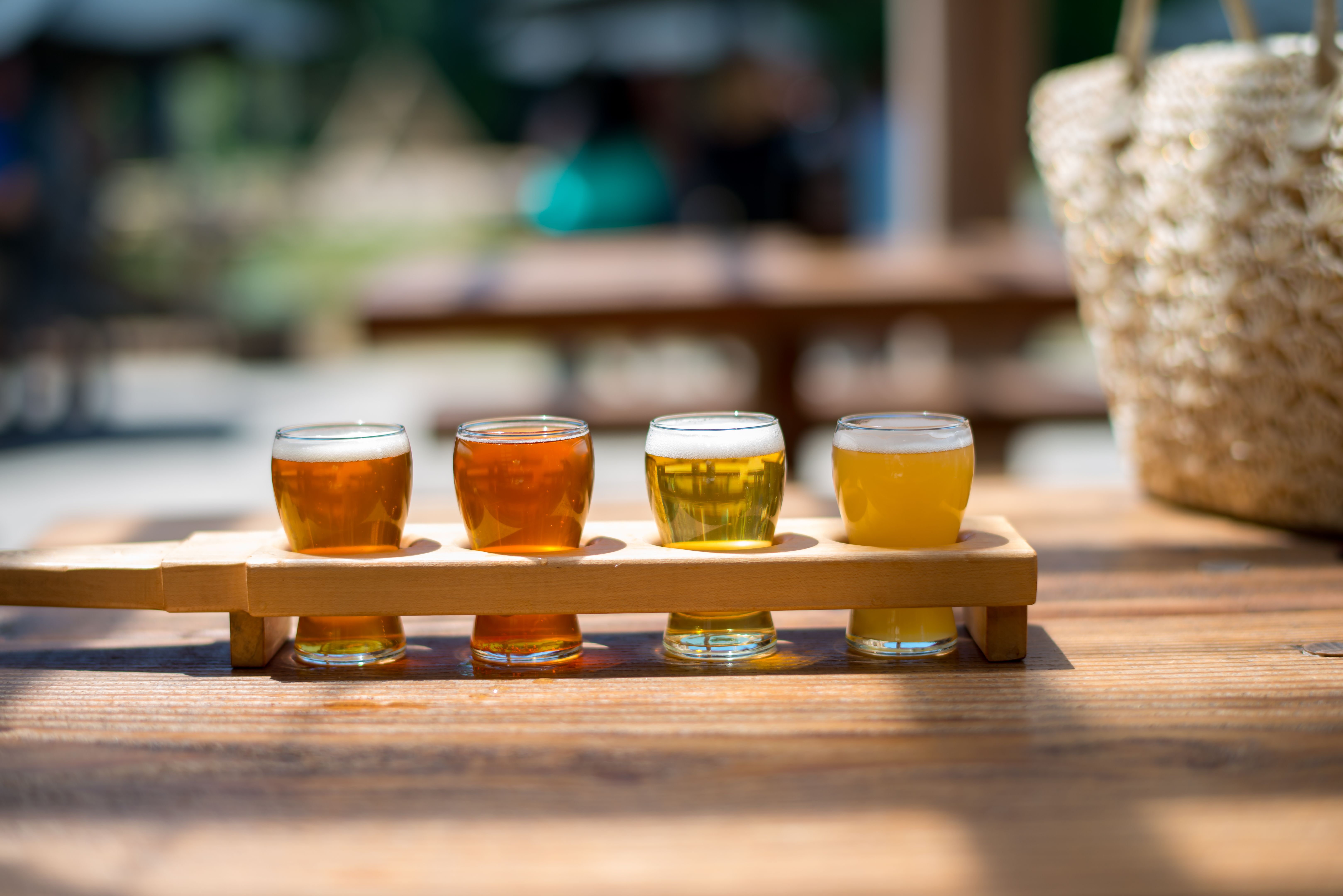 craft beer tasting