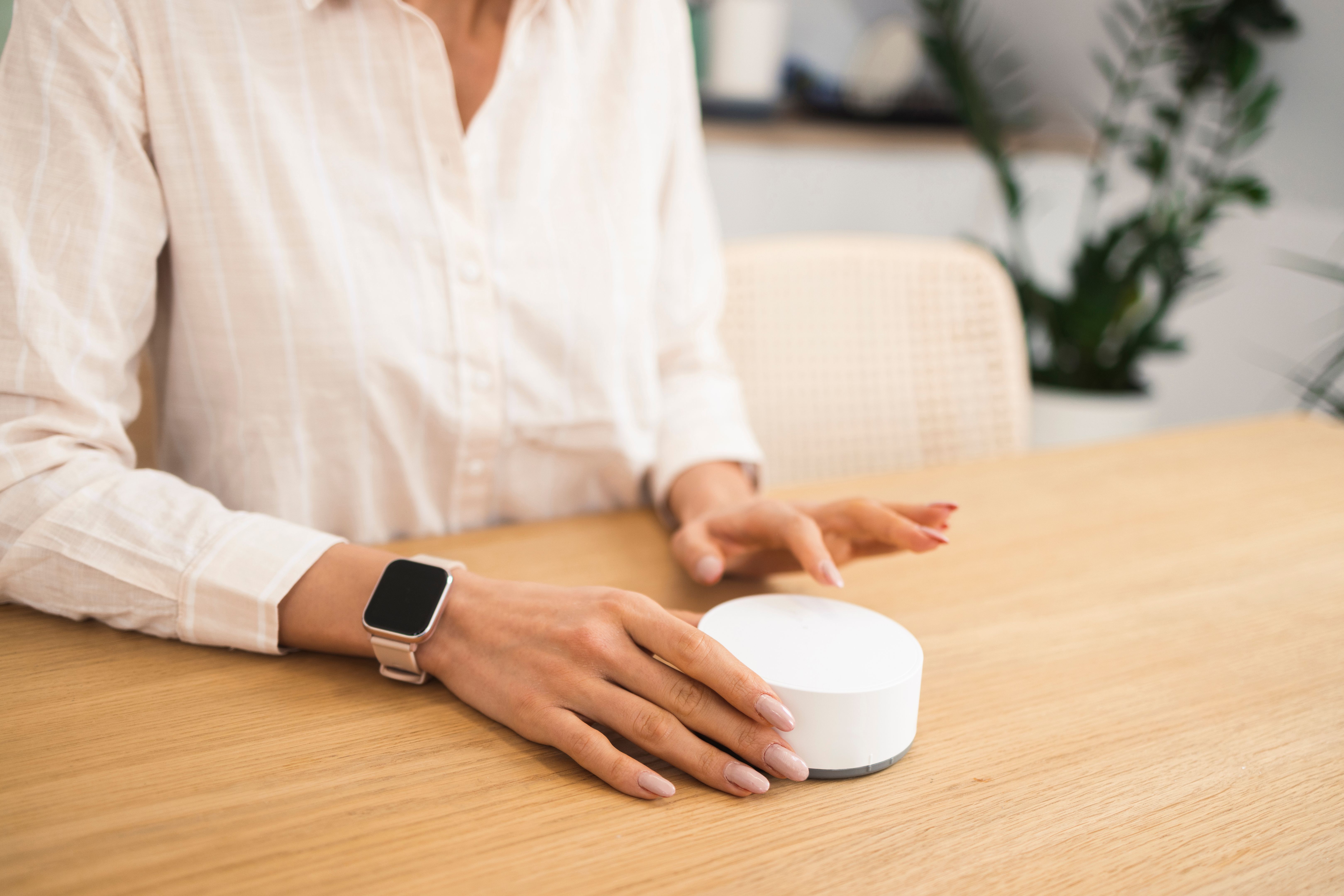 voice controlled home
