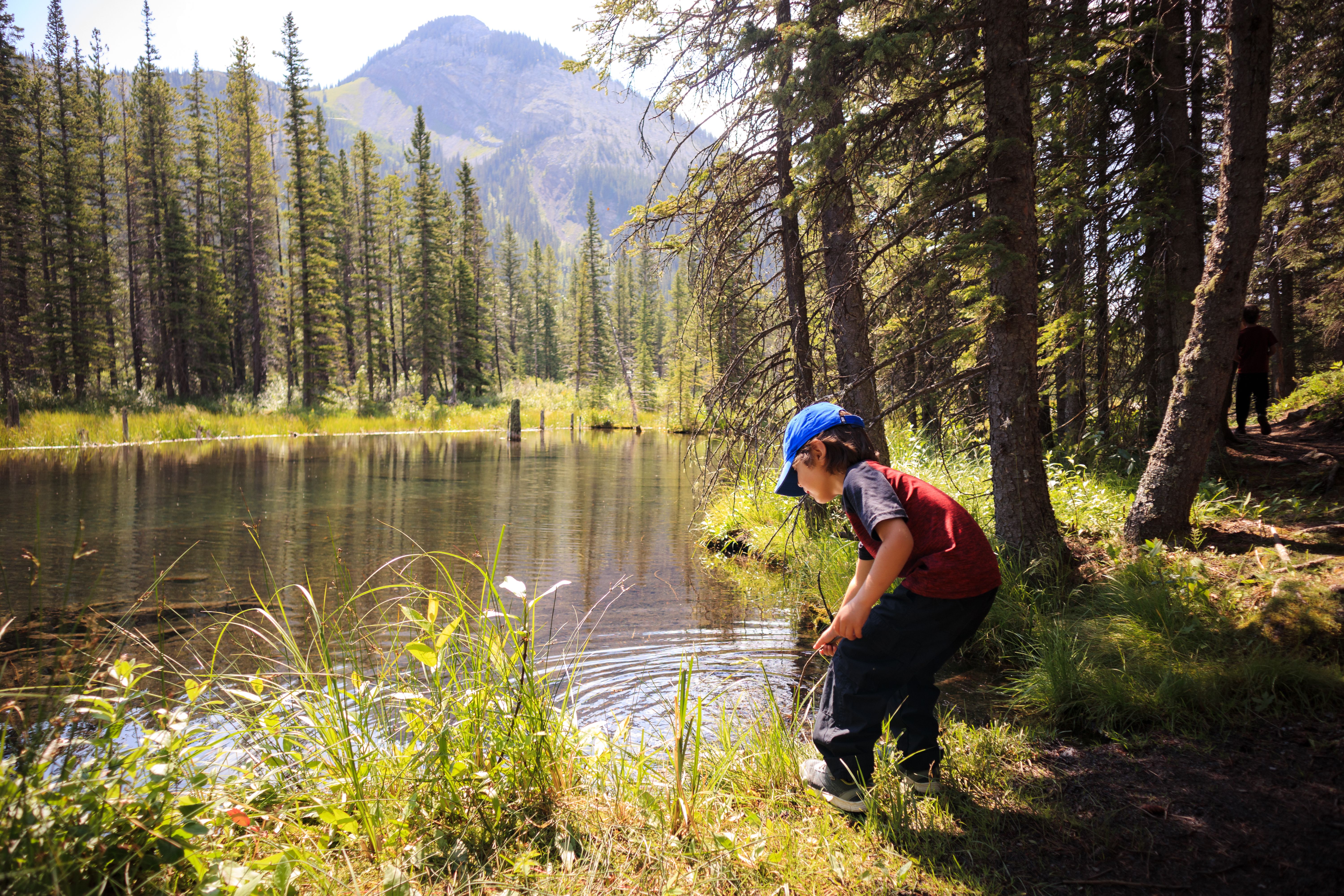 environmental activities