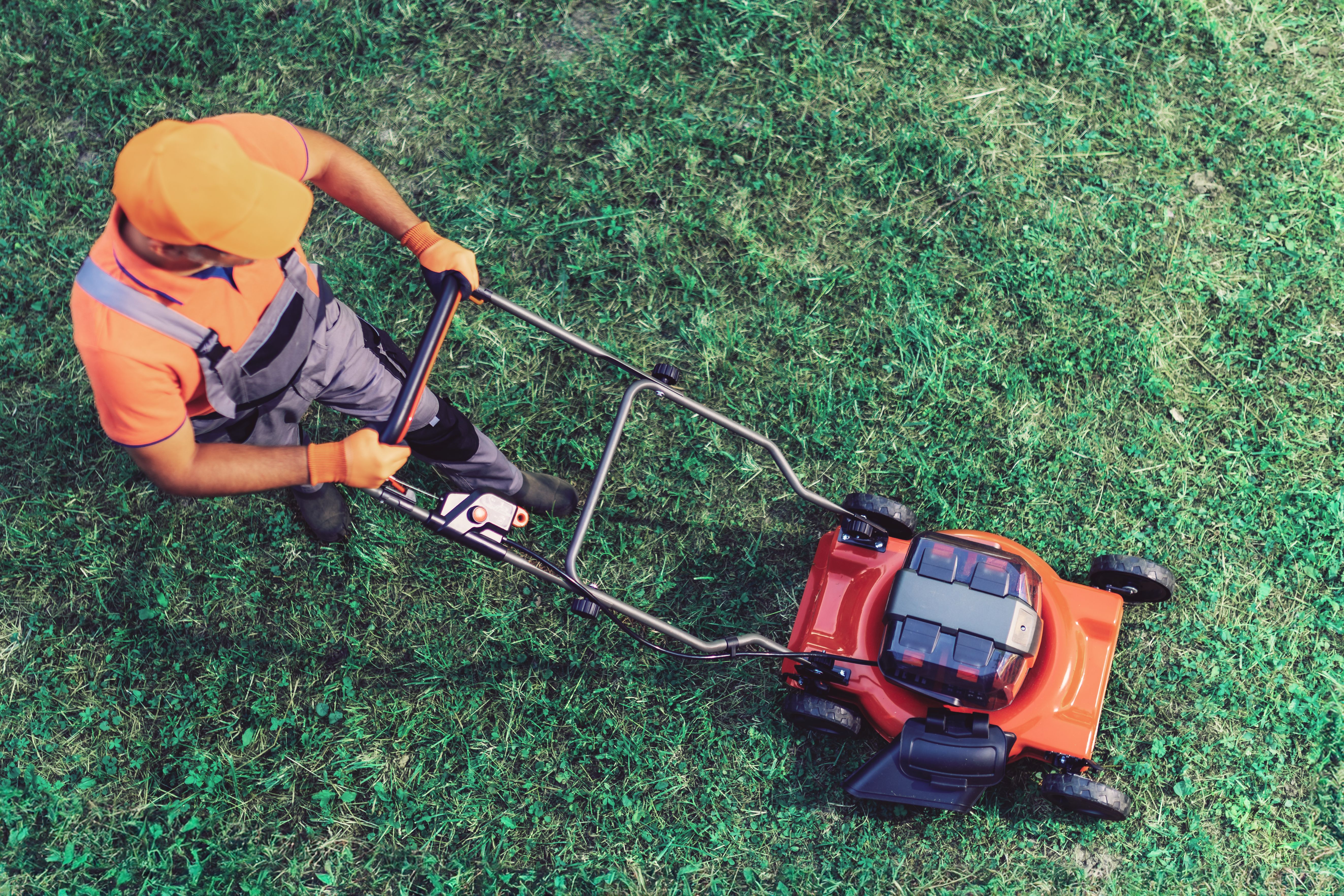 lawn care professionals