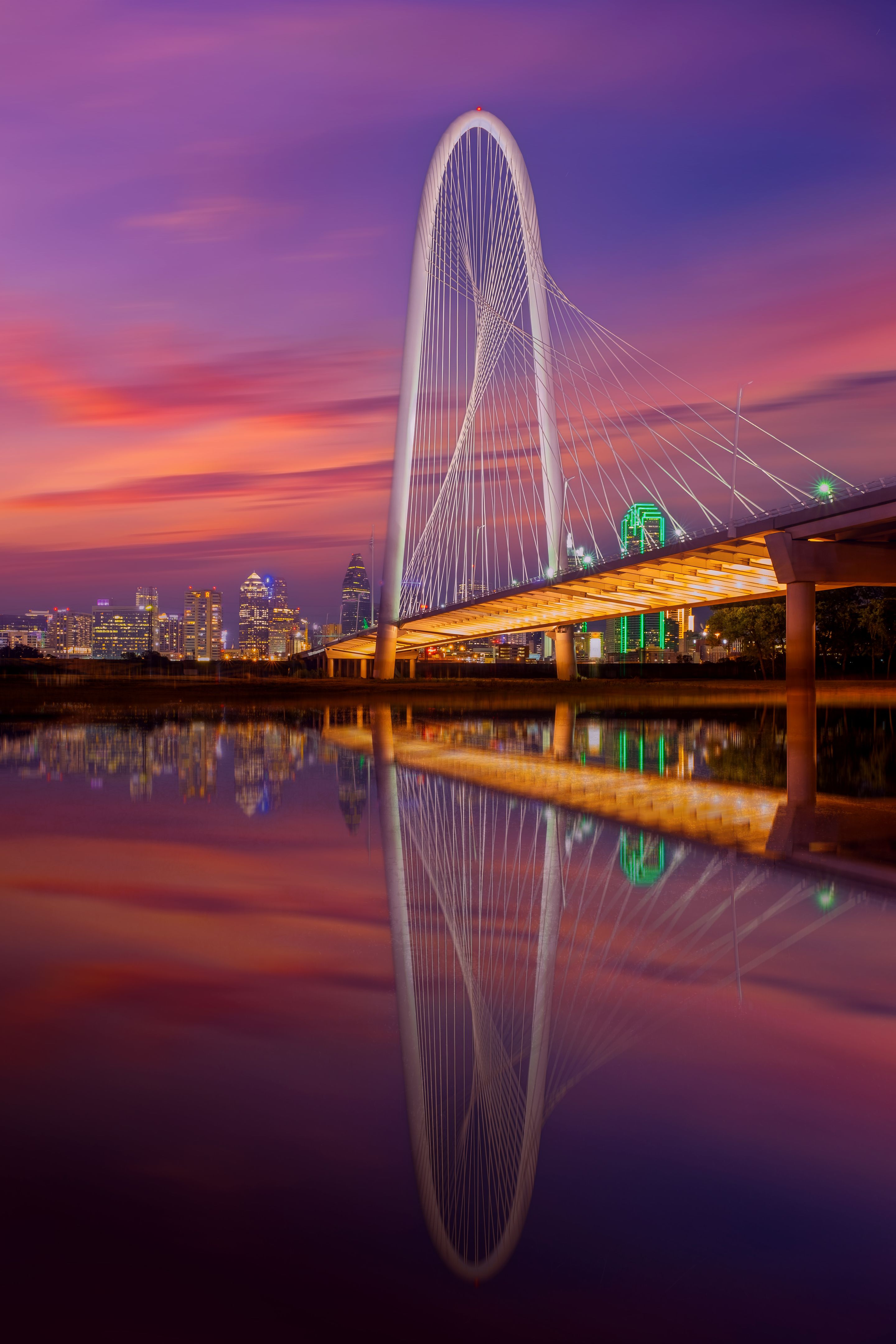 Margaret Hunt Hill Bridge at twilight in Dallas, Texas,Margaret Hunt Hill Bridge and Dallas downtown skyline