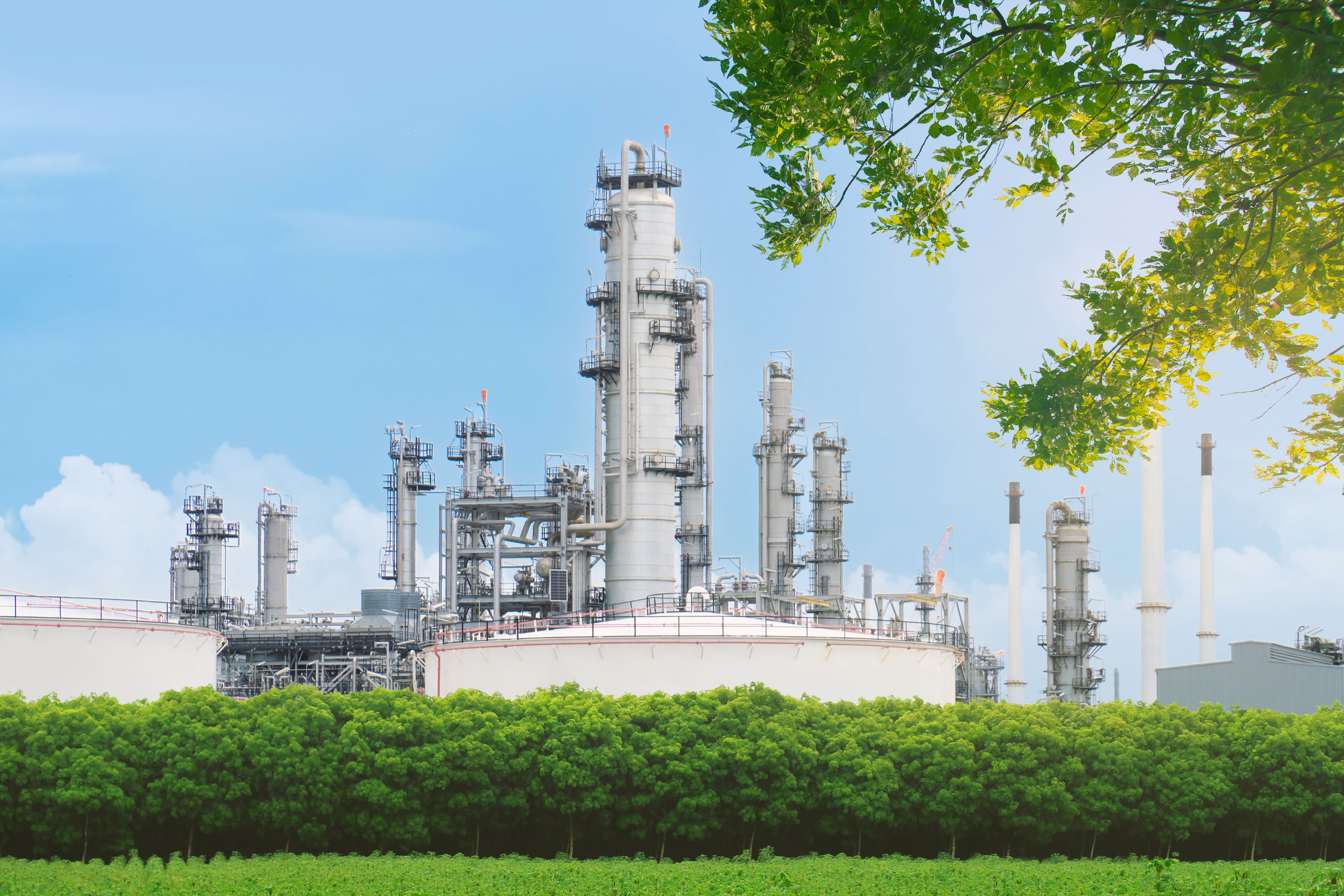 eco-friendly lubricant