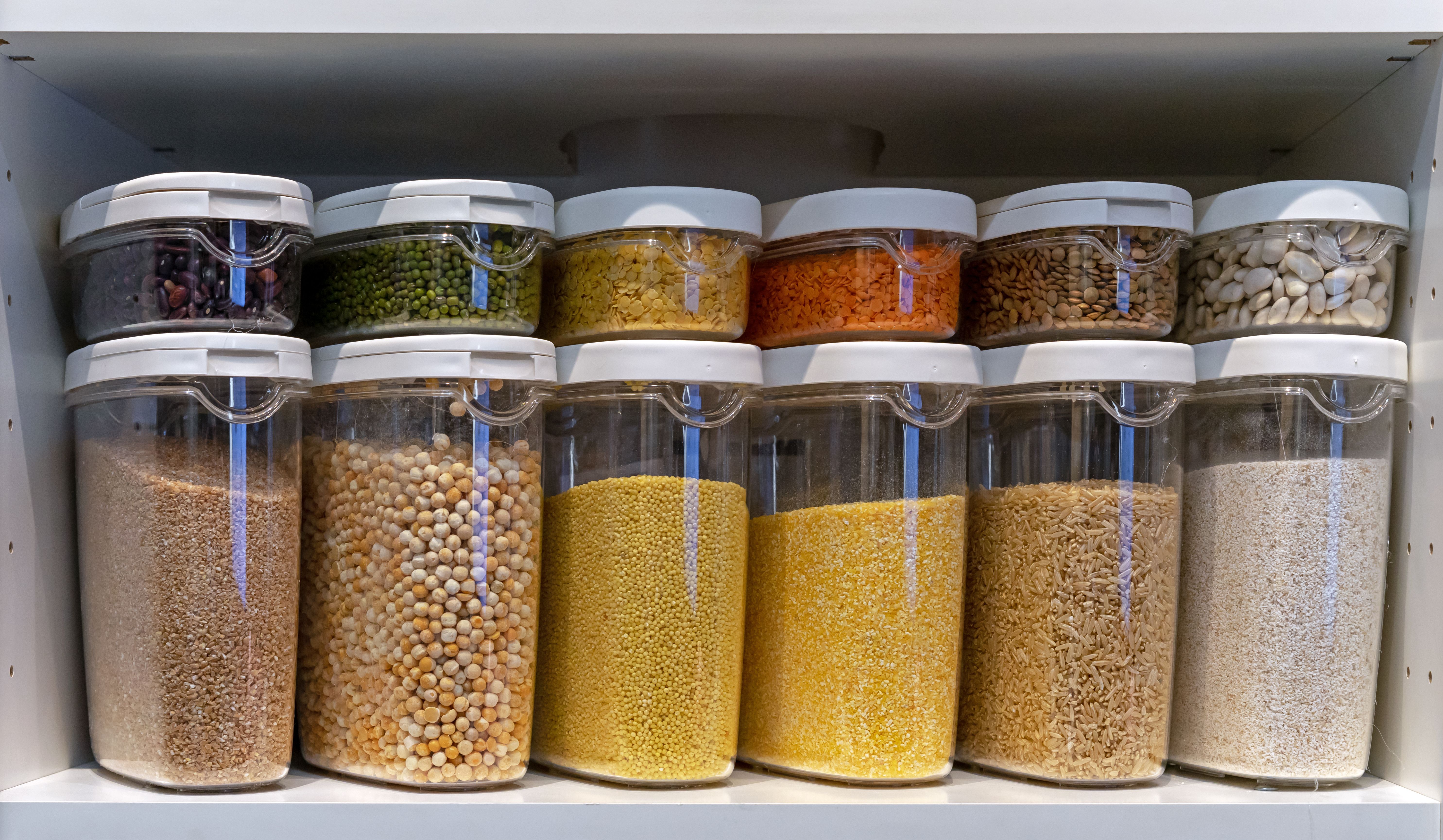 reptile food storage