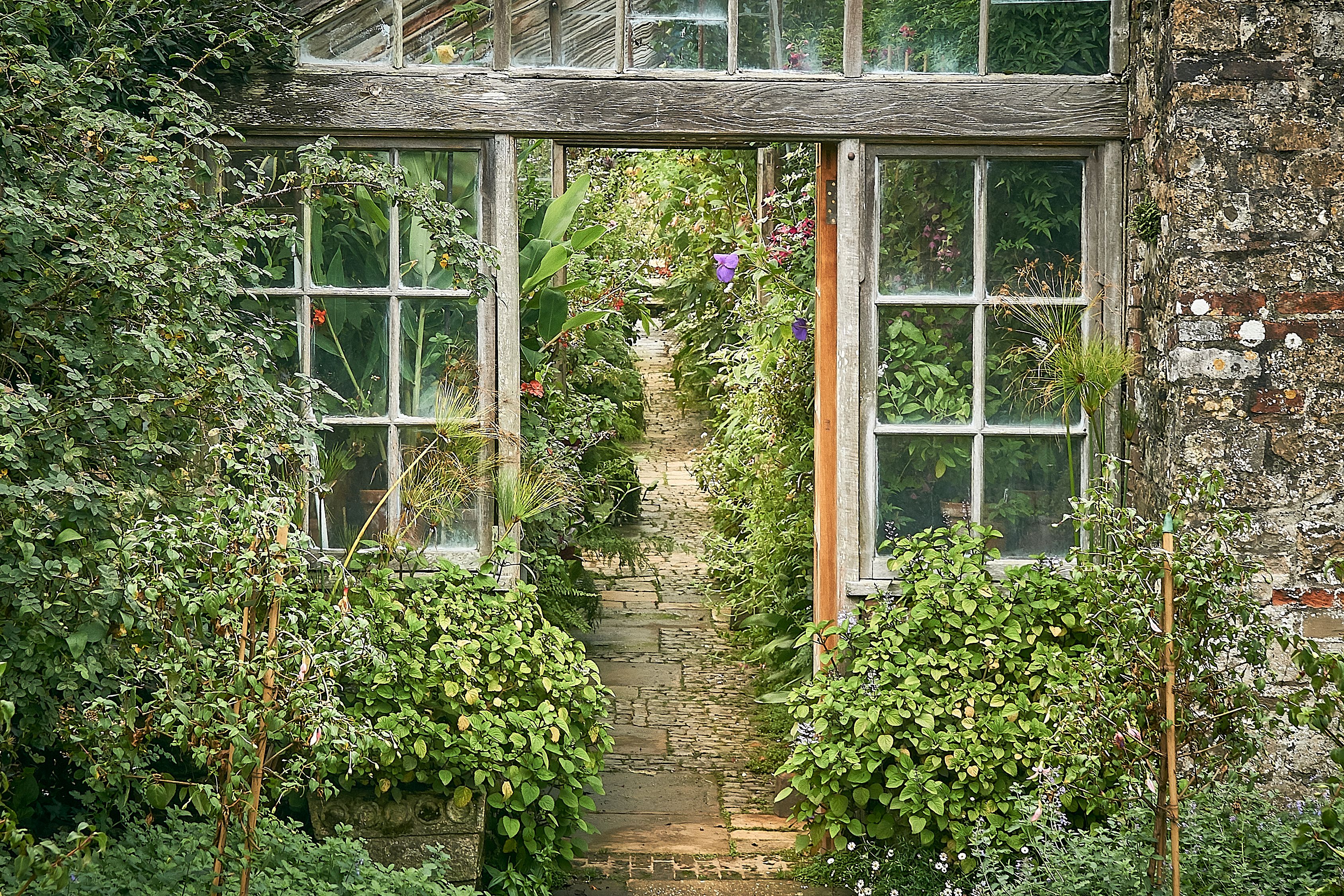 An old Victorian wooden green house or glasshouse