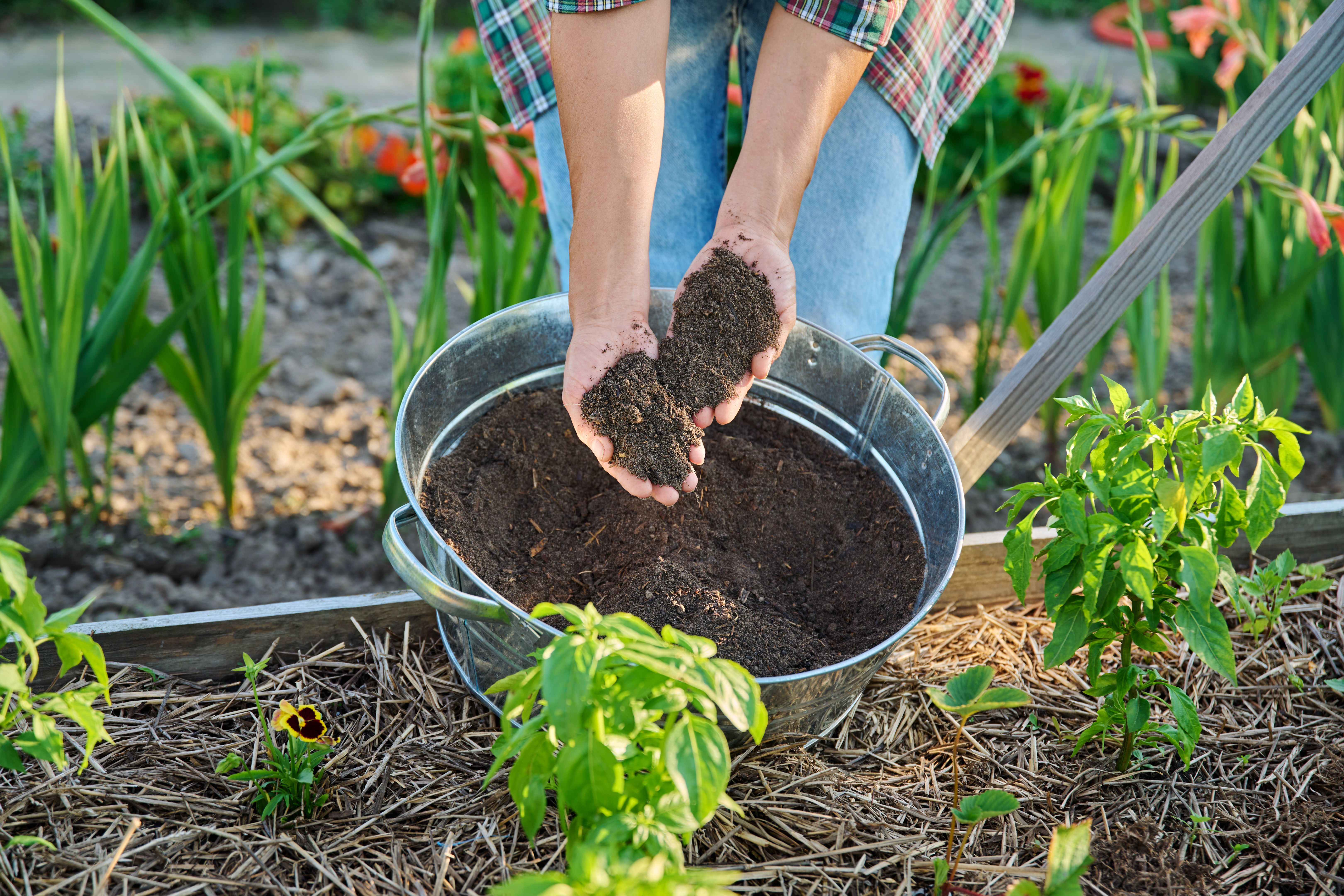 composting in garden