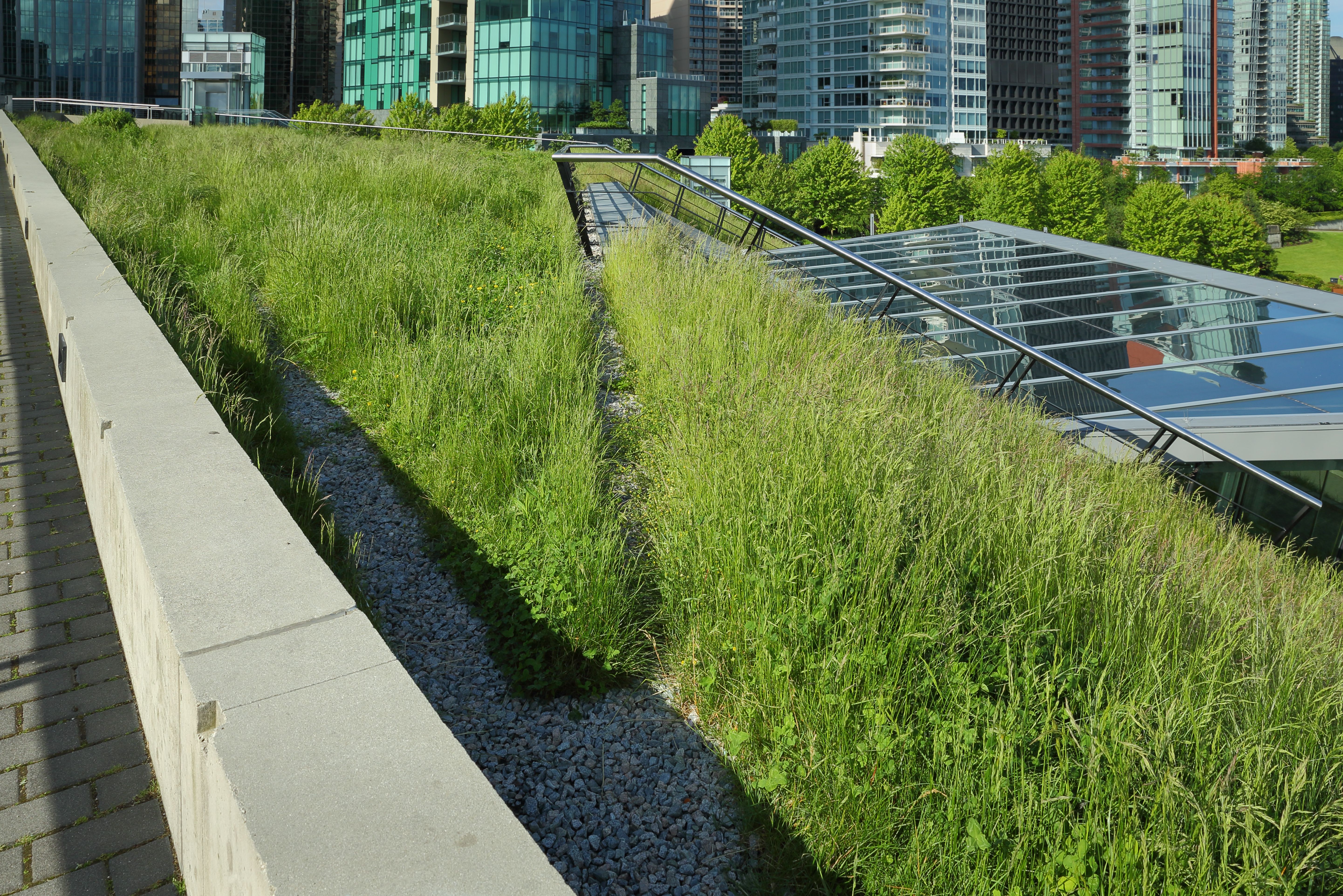 green roof city