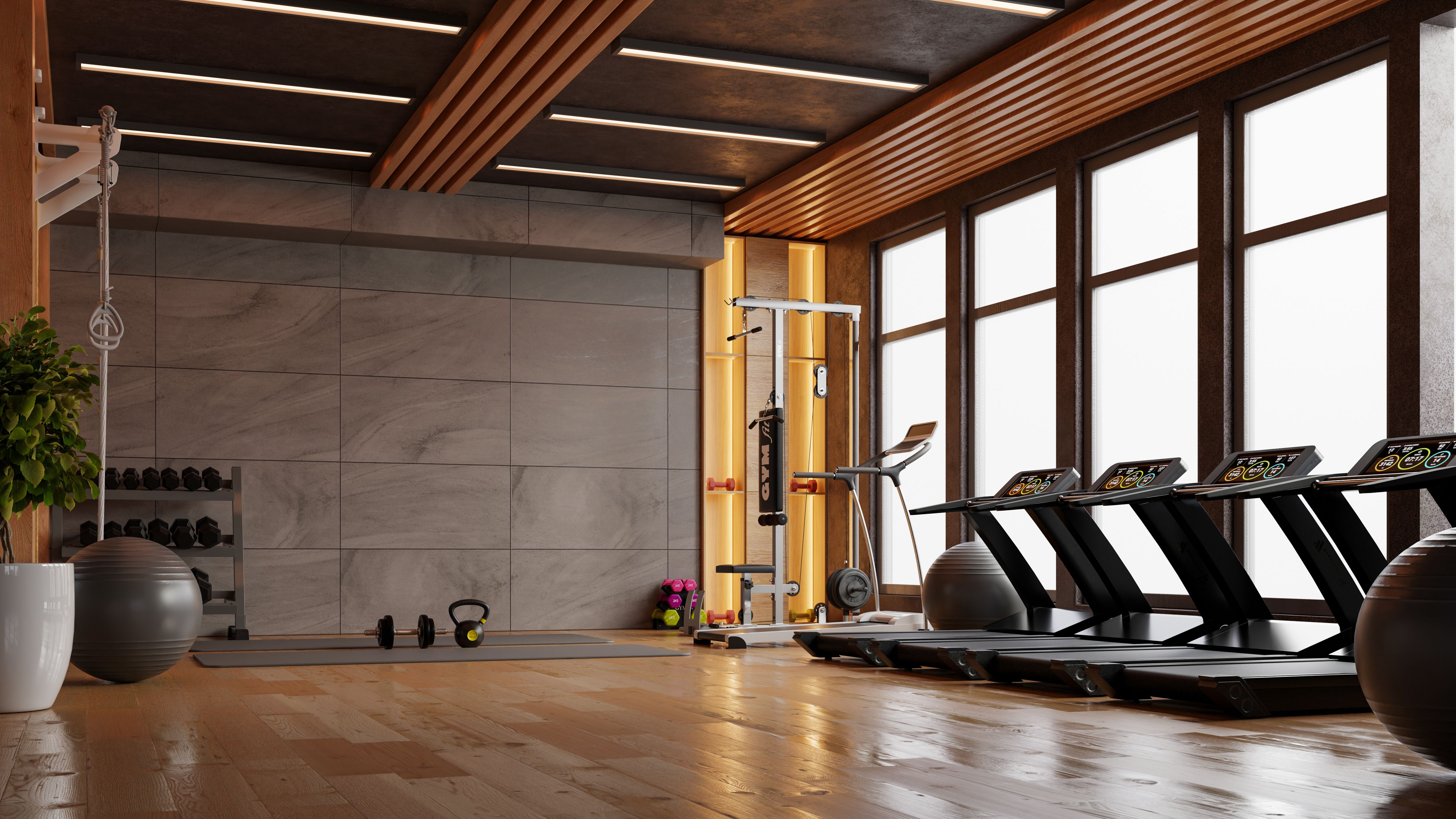 luxury gym amenities