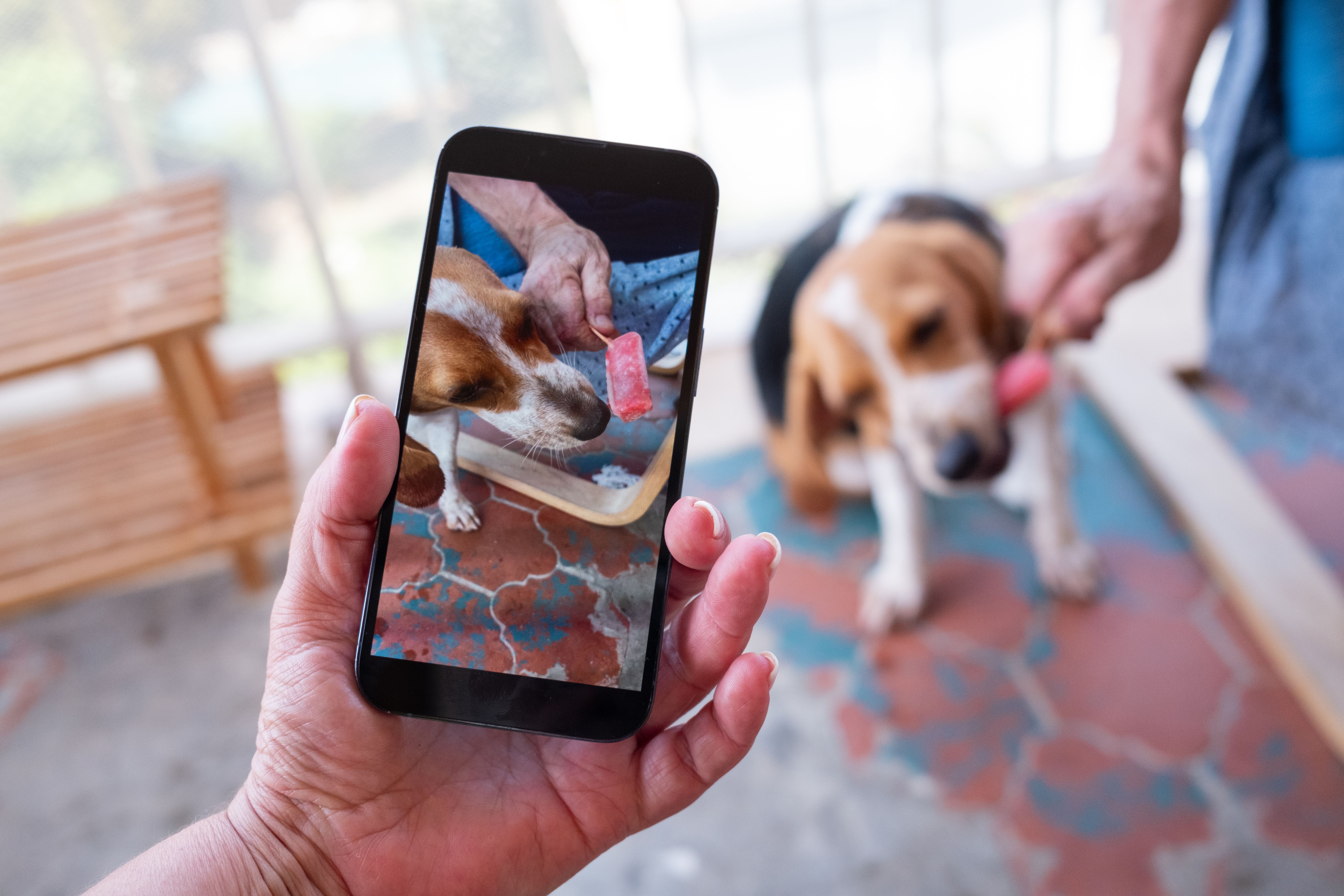 user generated content