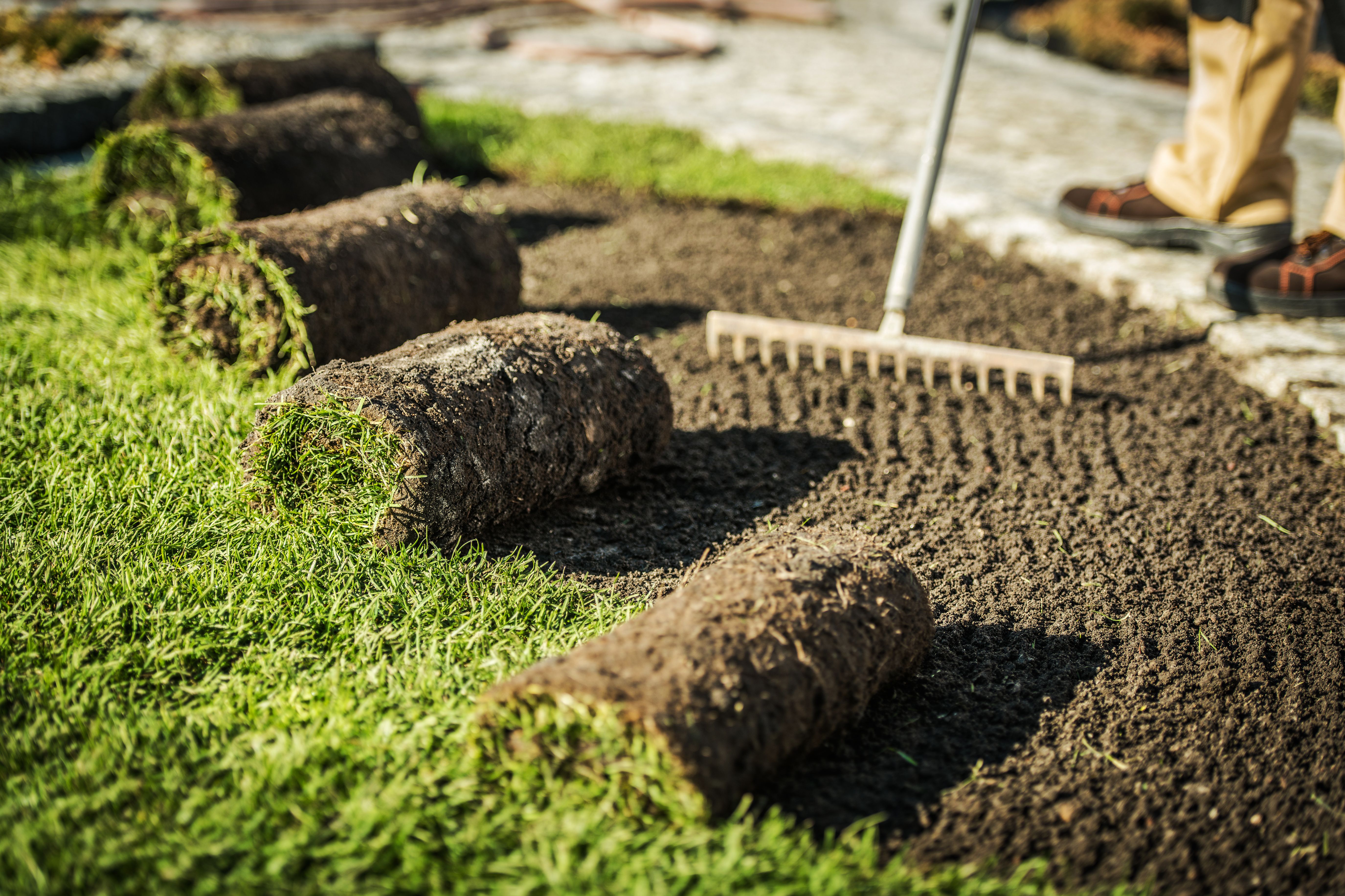 lawn preparation