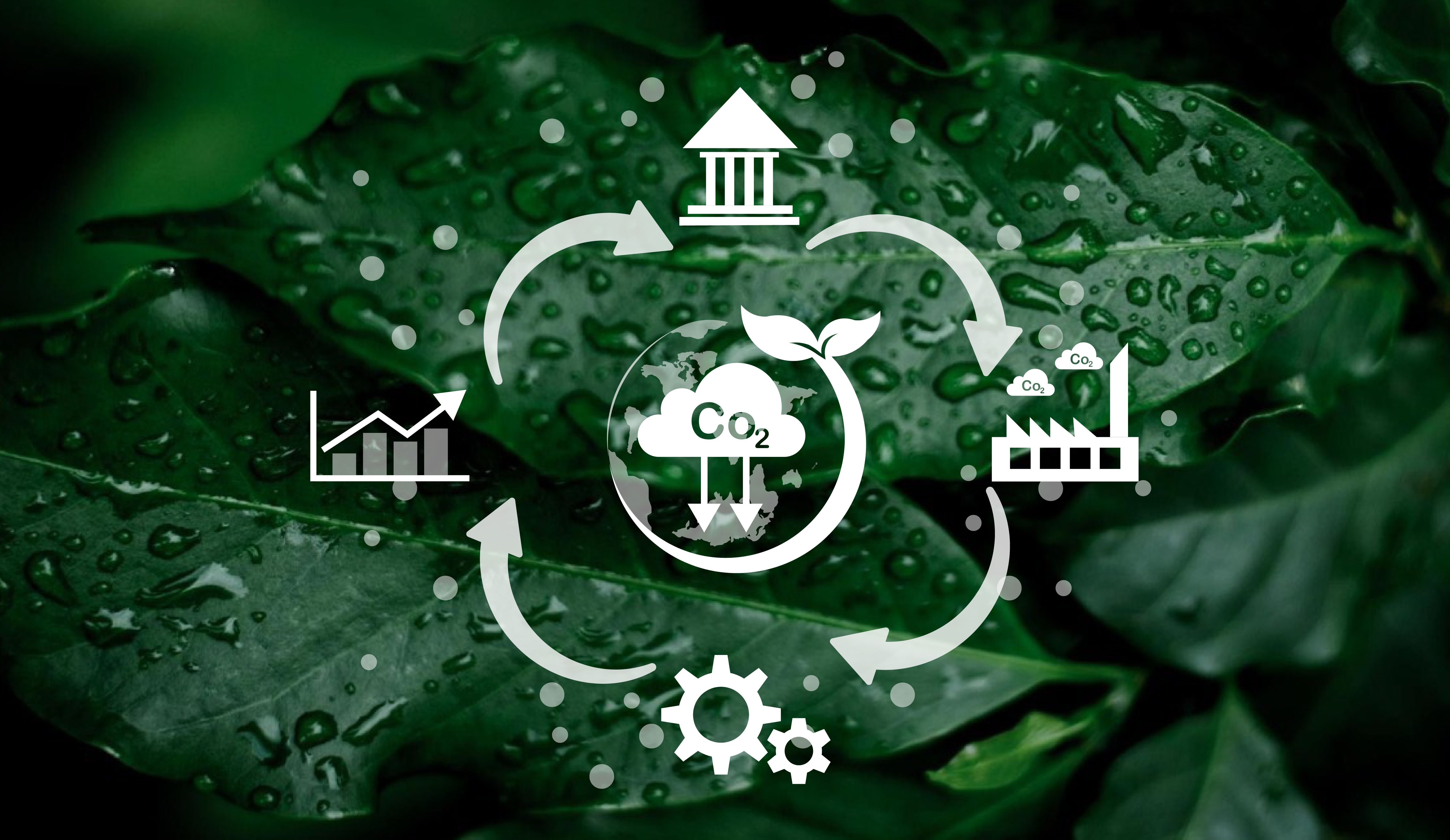 Reduce CO2 emission concept. Clean and friendly environment without carbon dioxide emissions.CO2 reducing icon inside magnifier glass for carbon credit to limit global warming from climate change