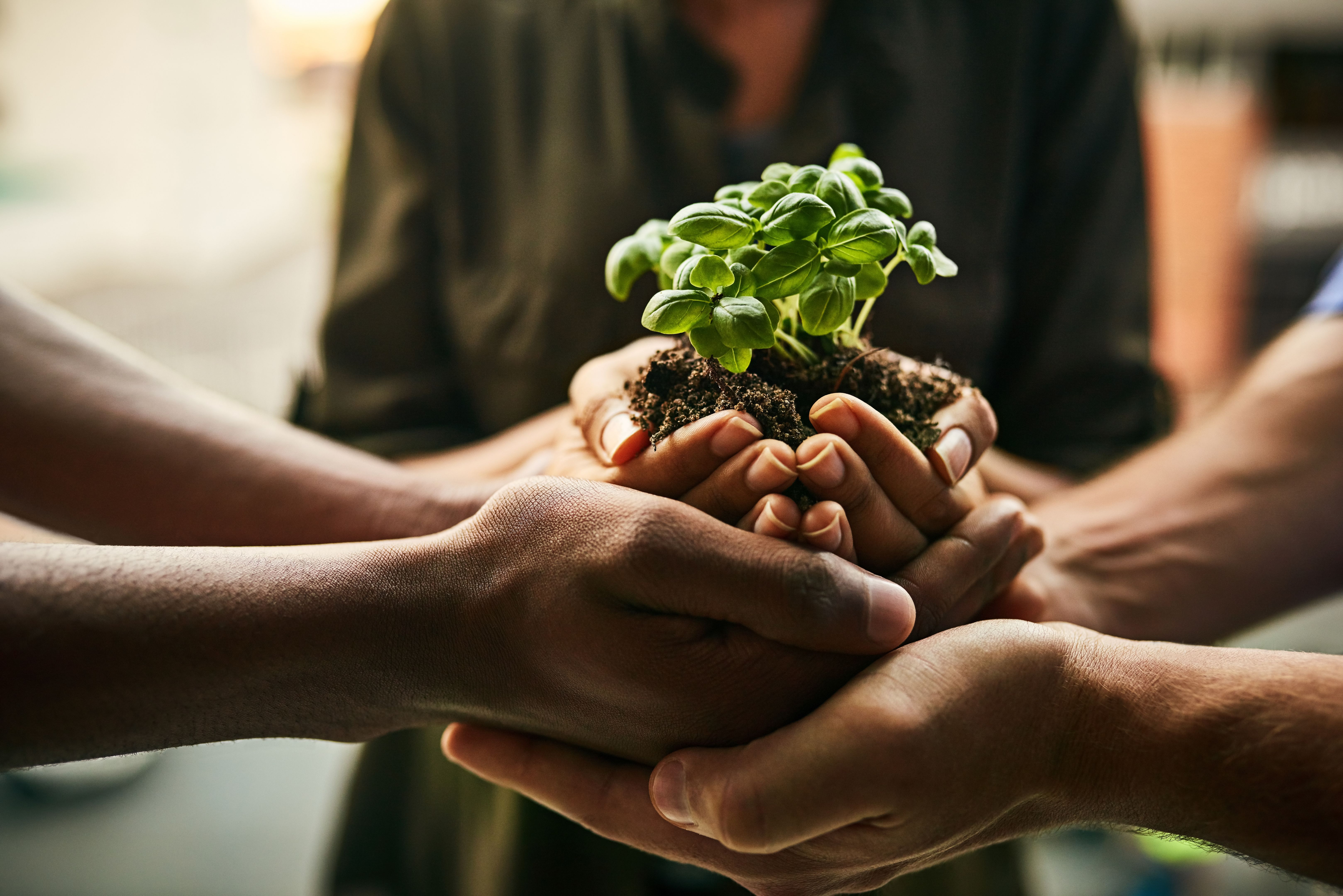 community growth