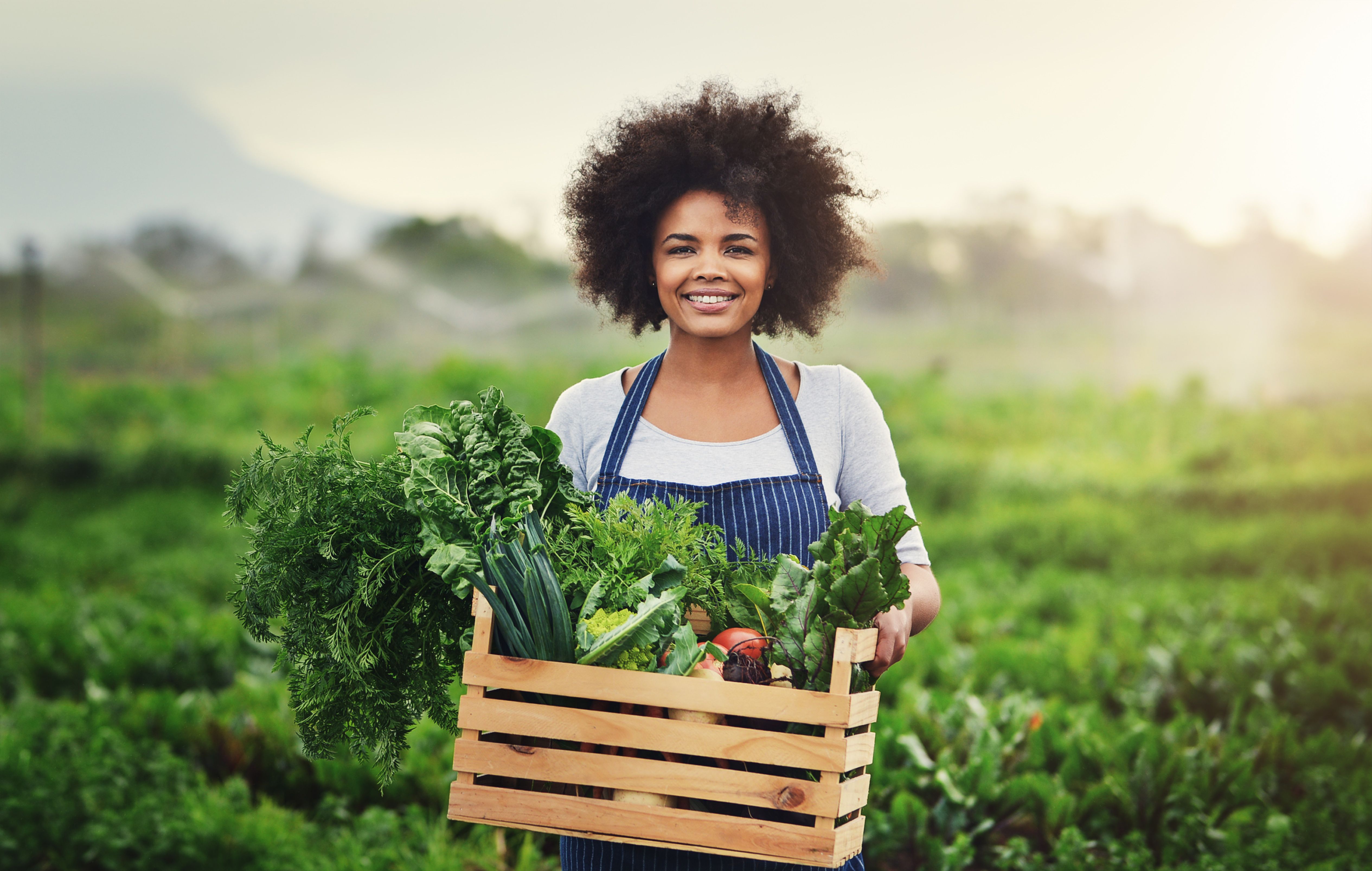 fresh produce delivery