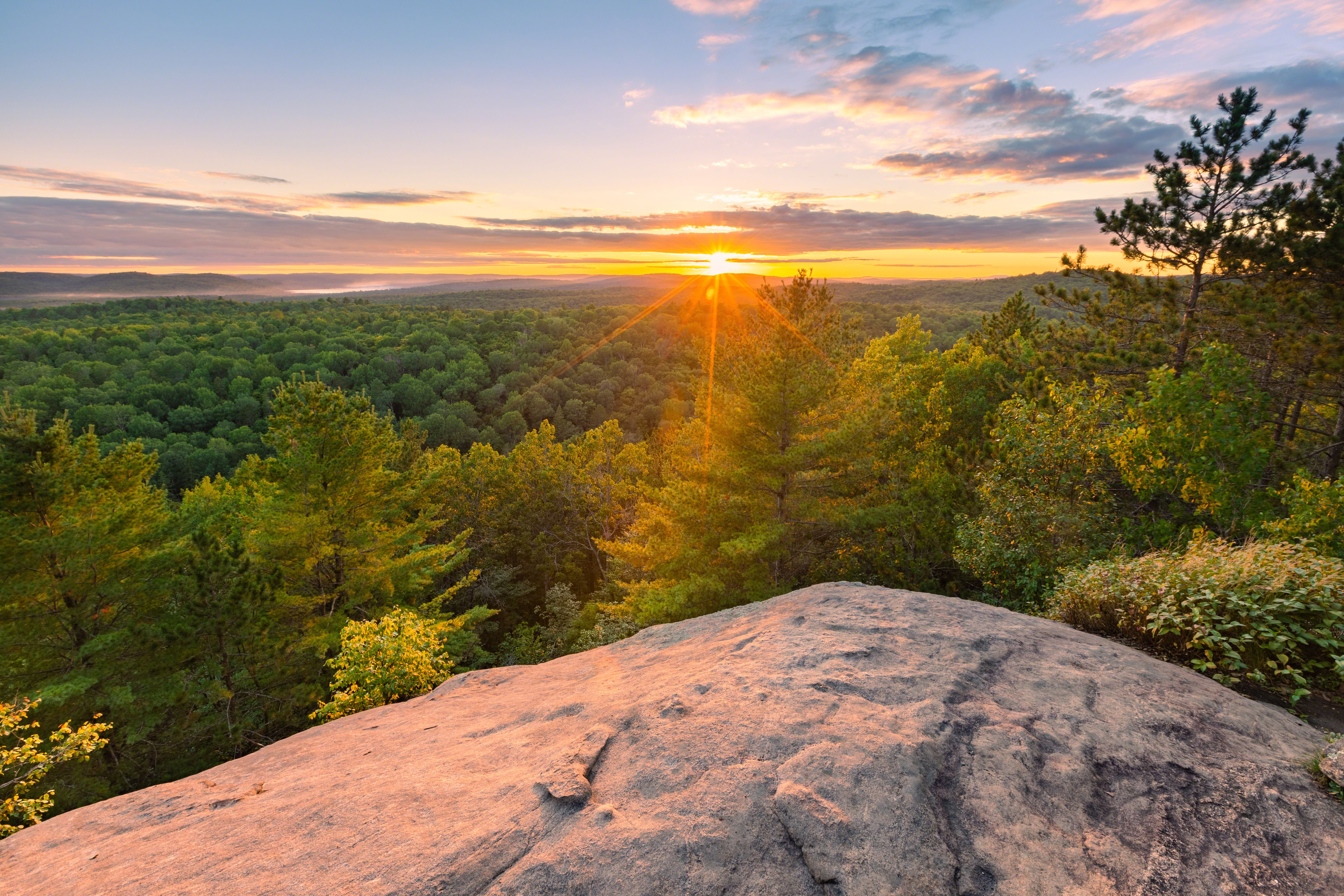 algonquin park