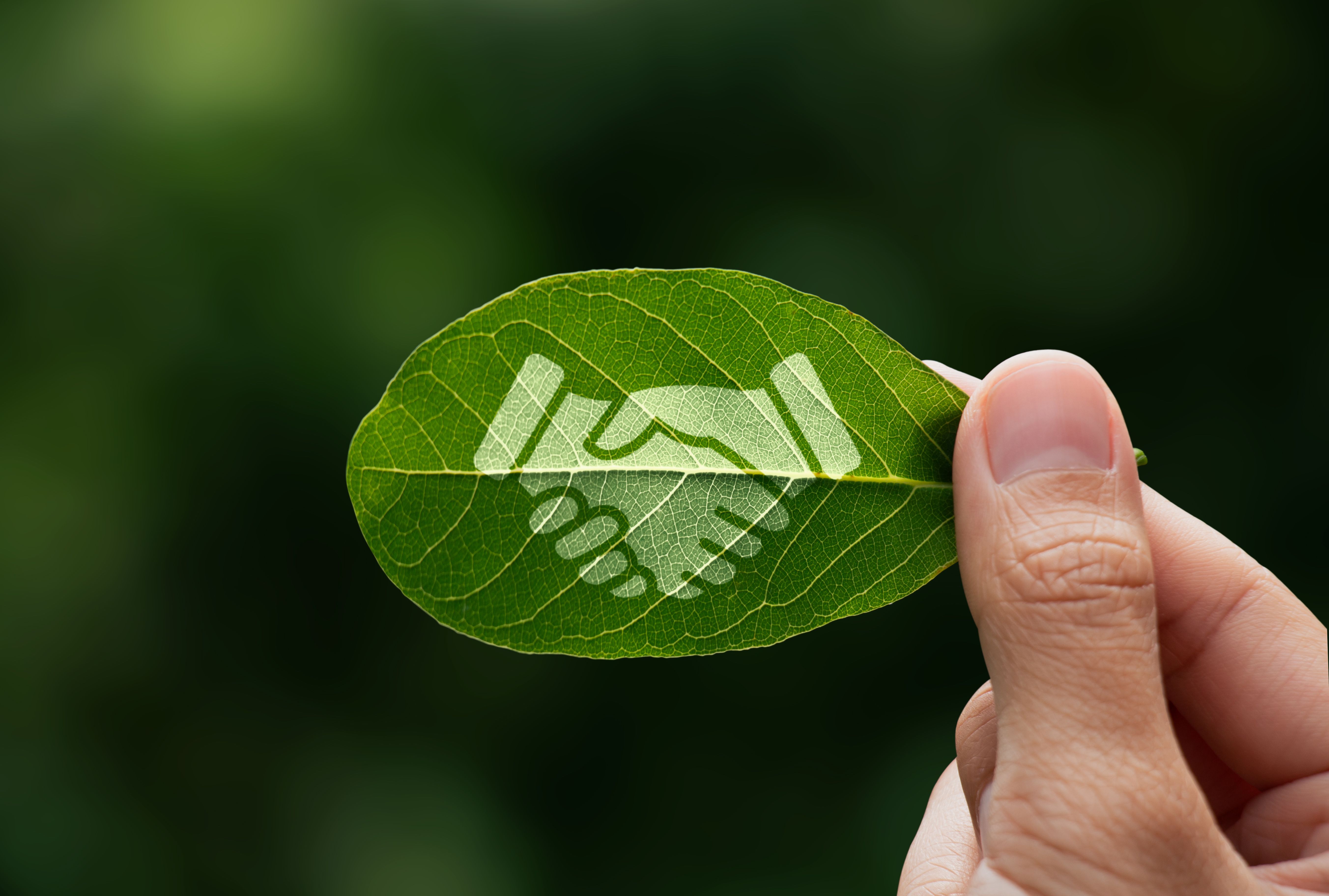 sustainable delivery