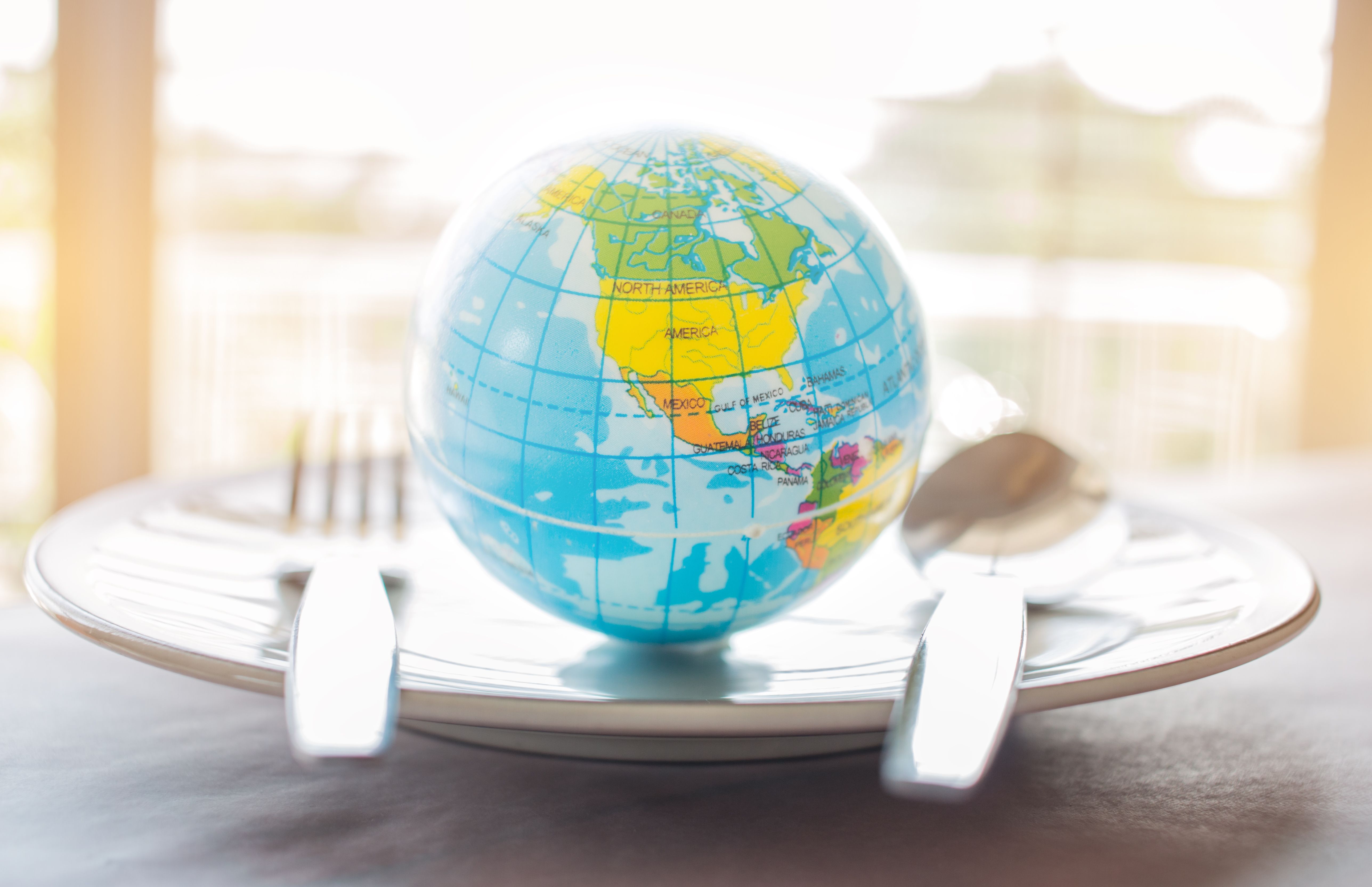 international cuisine