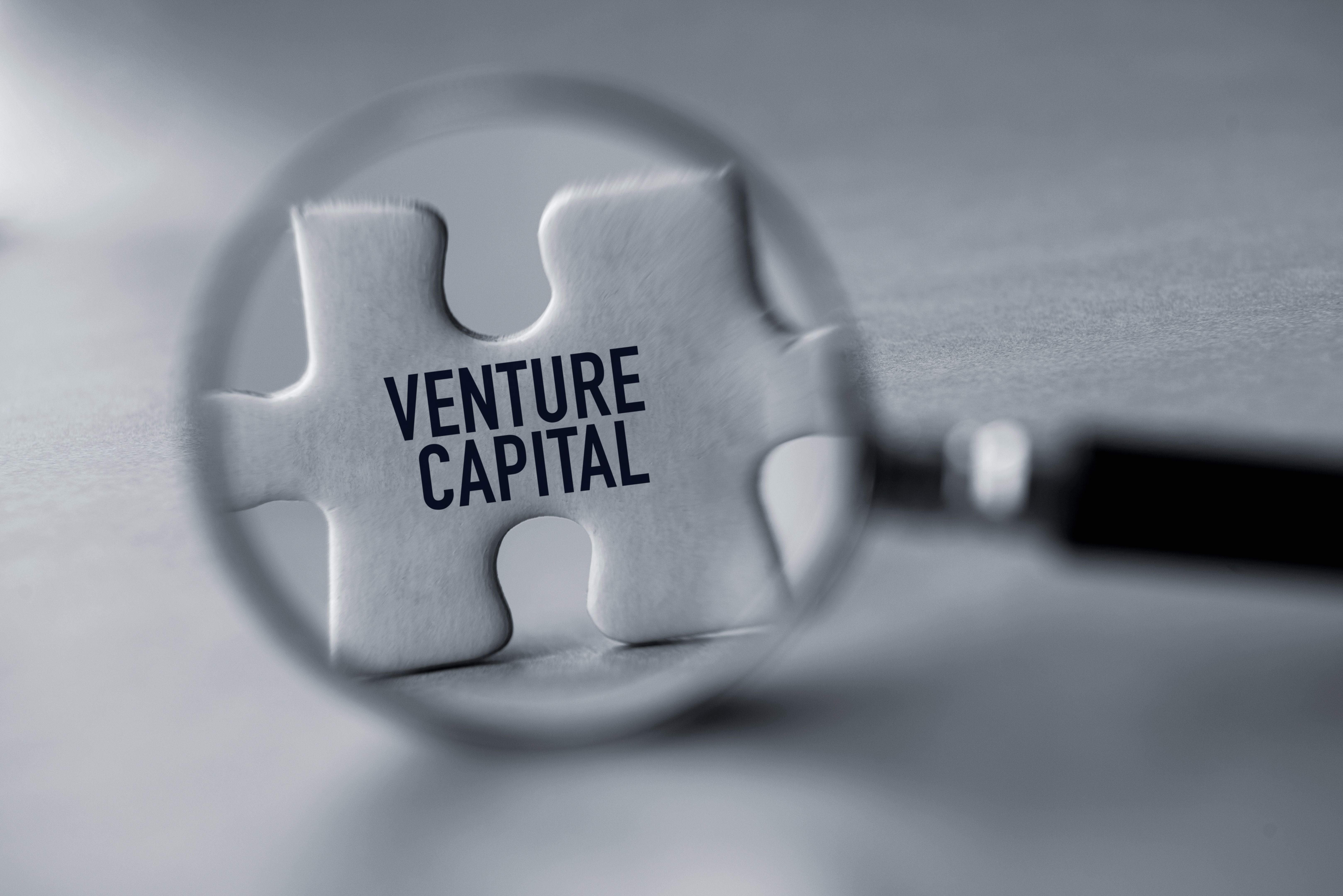 venture capital startups