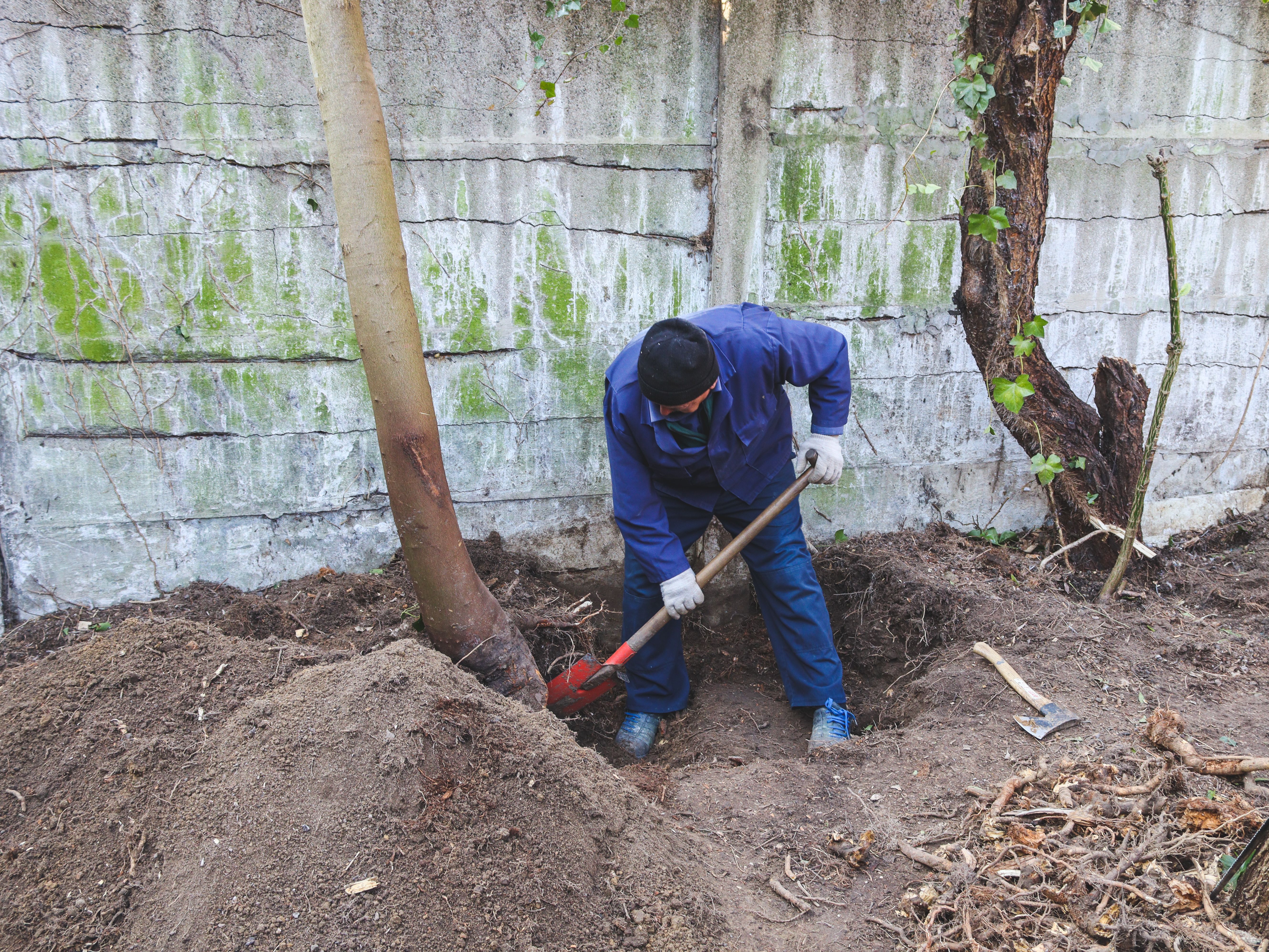 inmates gardening
