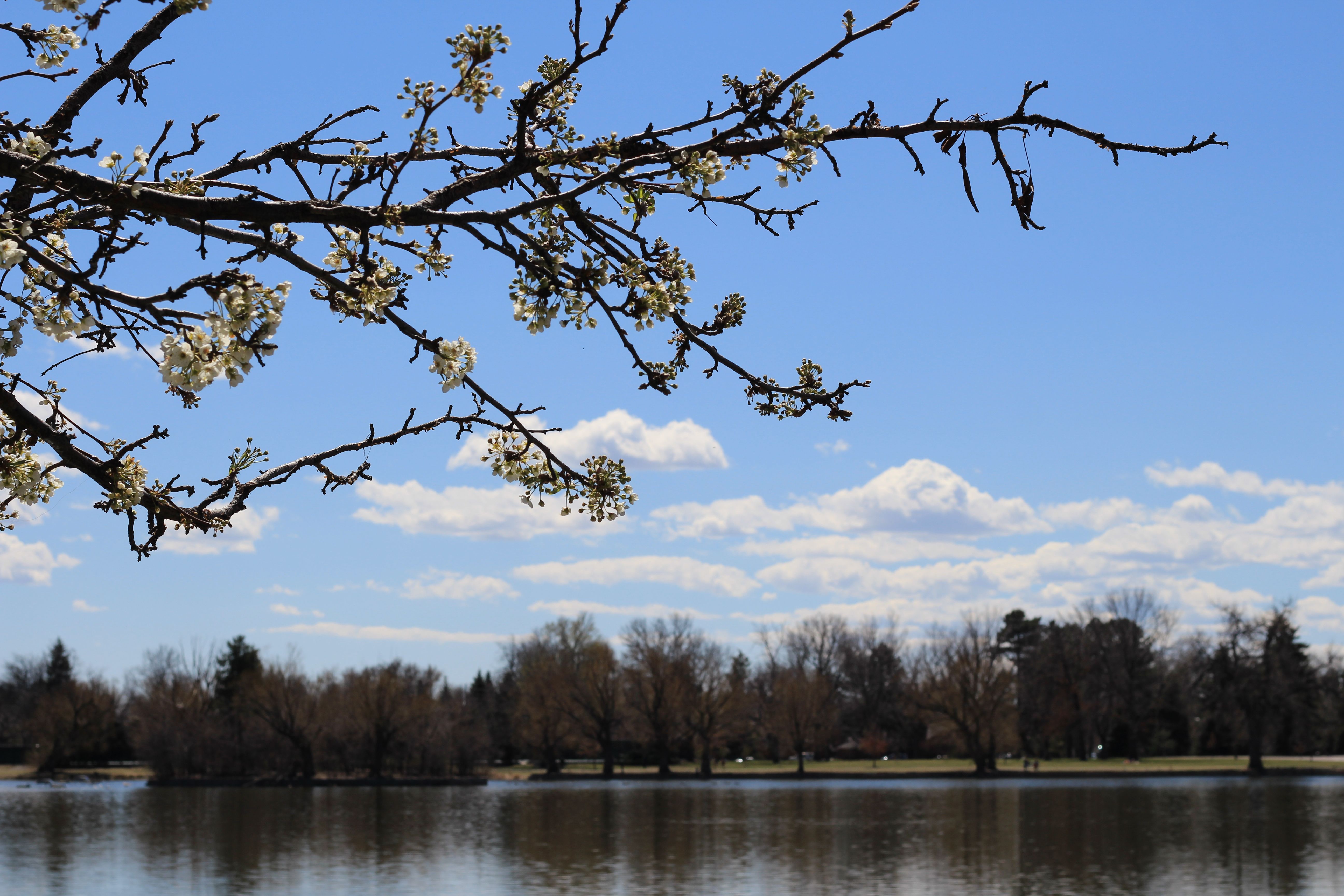 washington park denver