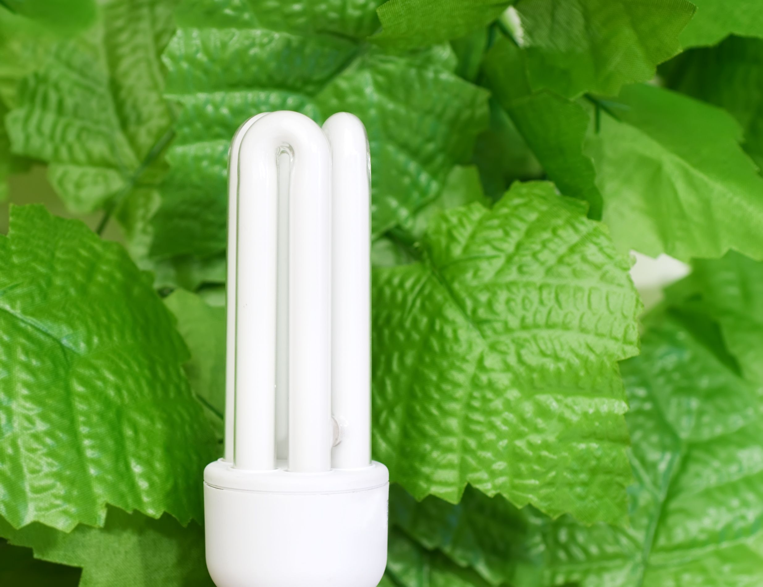 eco-friendly vape