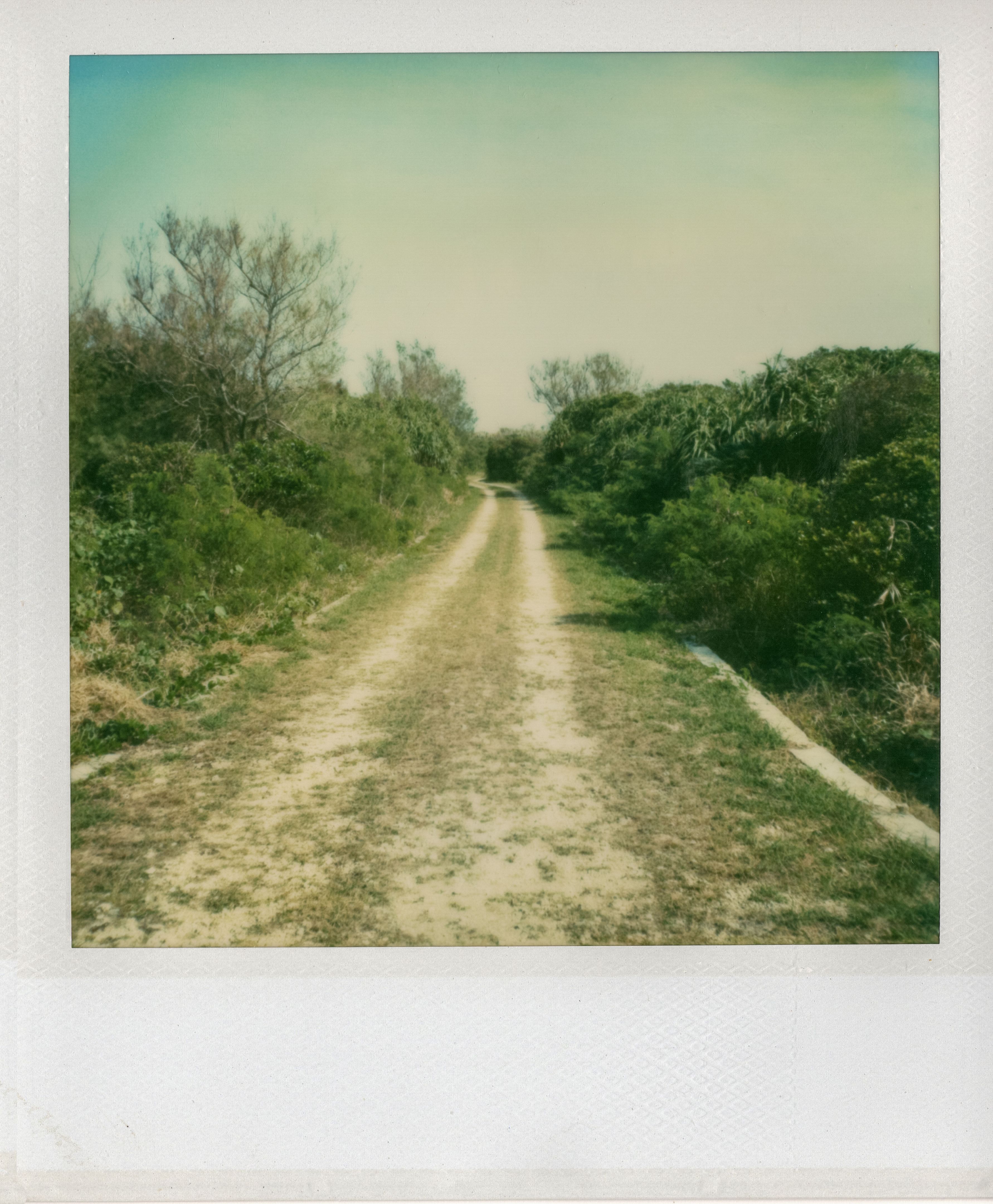 summer dust