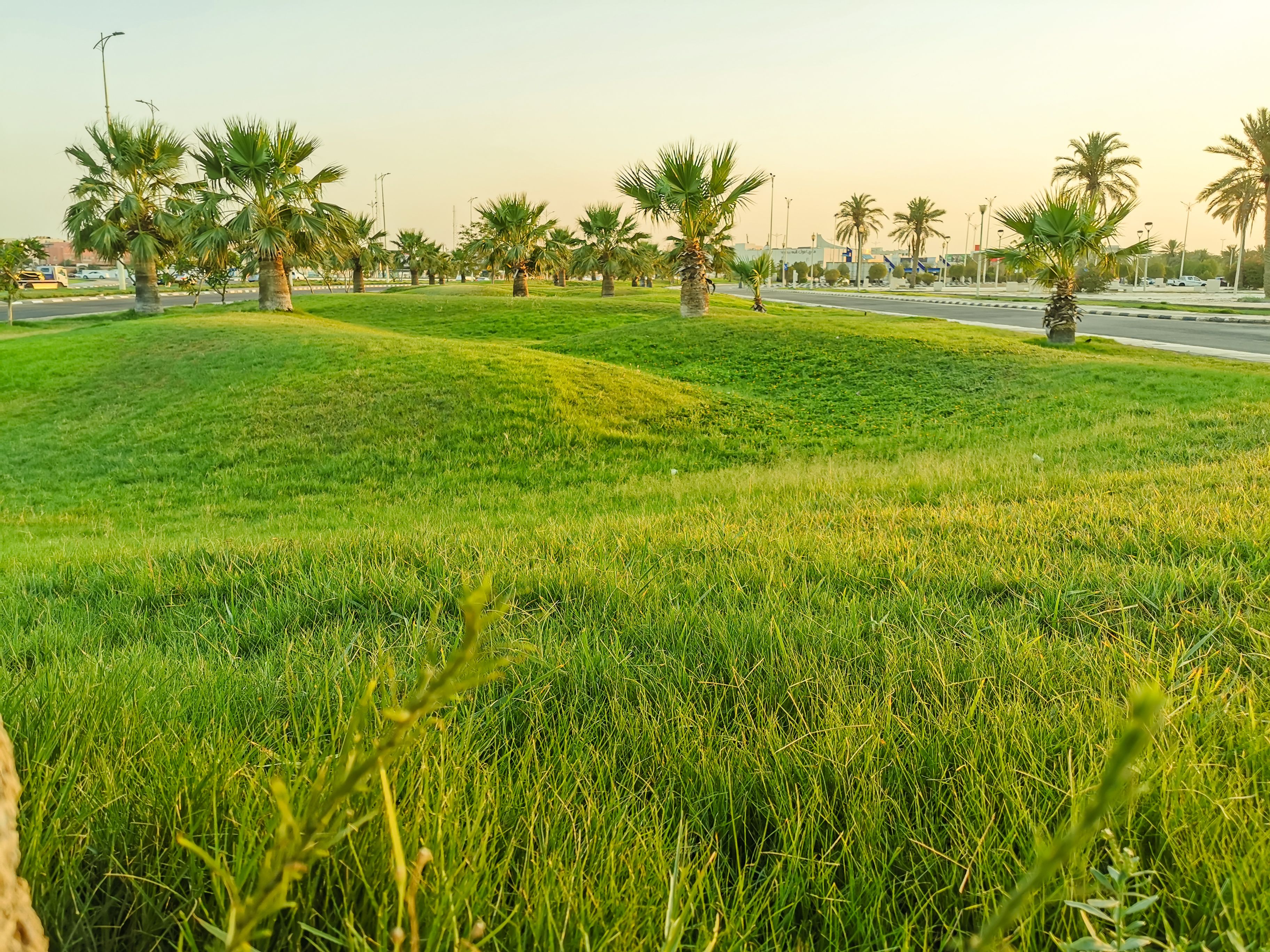 arabian ranches park