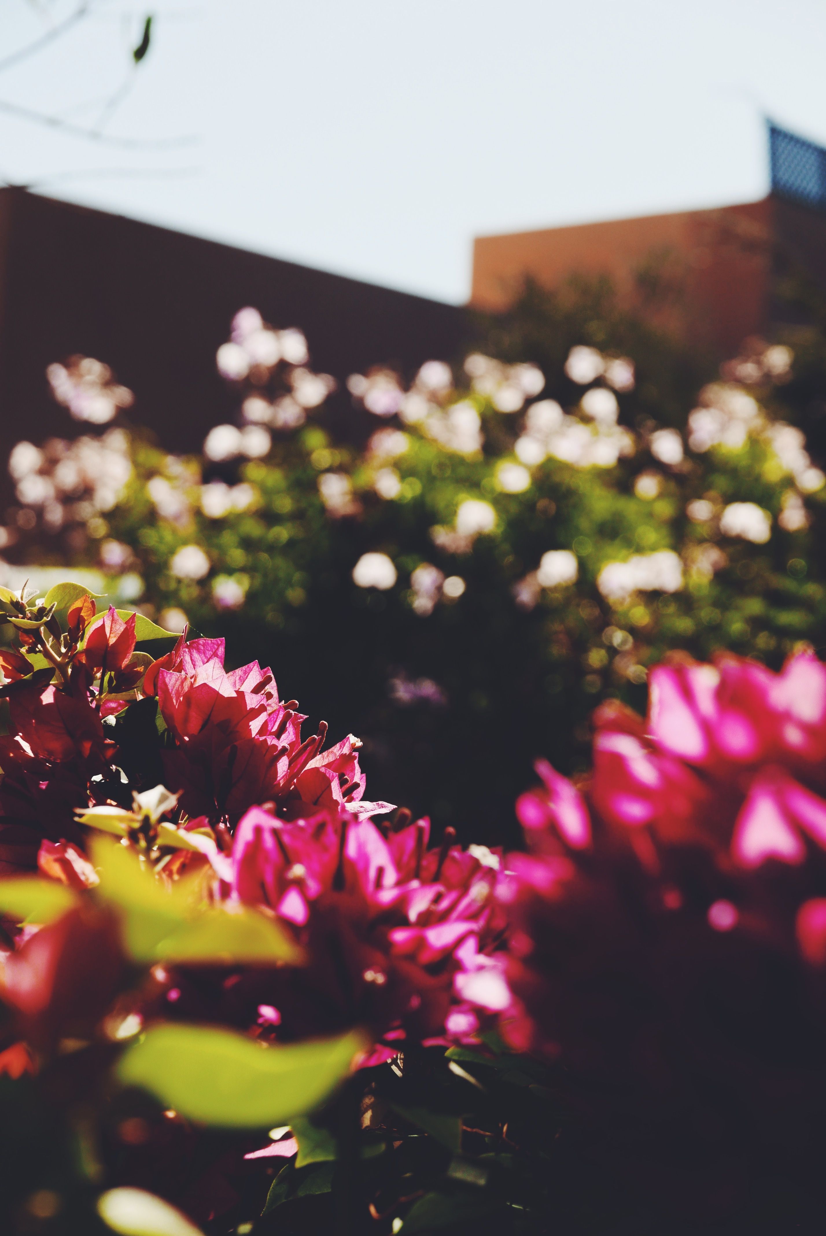 commercial property Morocco