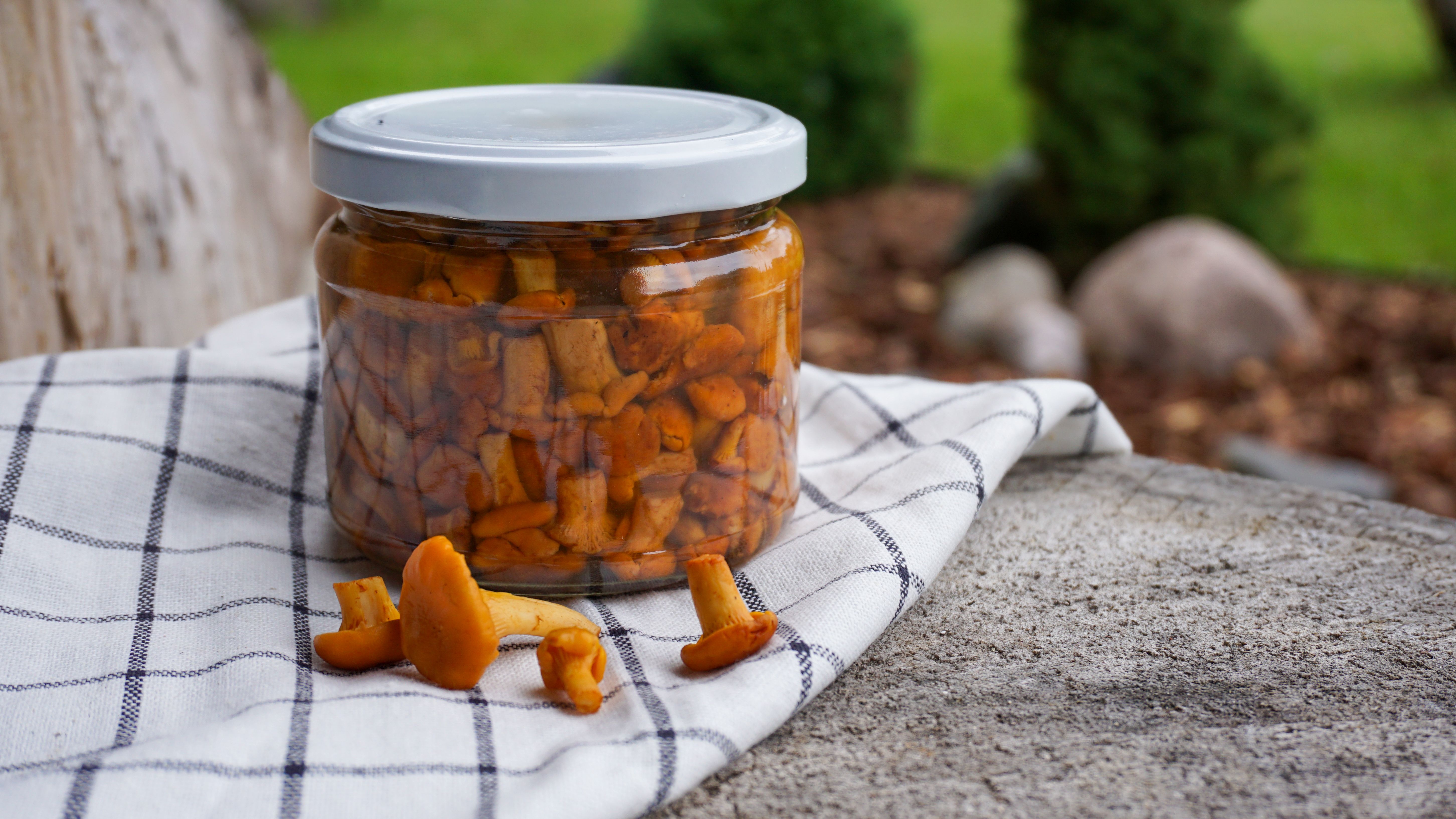 chanterelle mushrooms