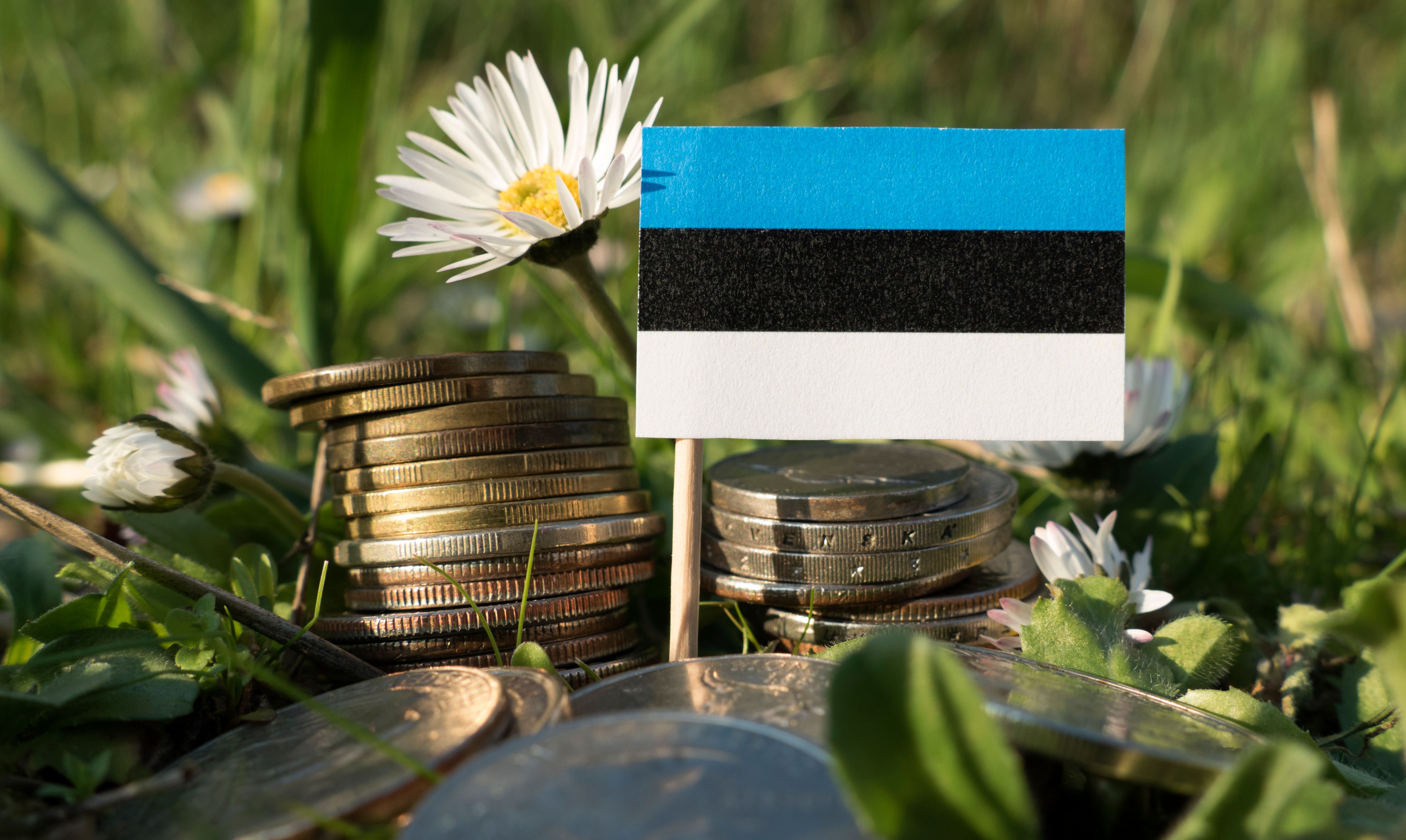 View of The Ultimate Guide to Setting Up a Ready-Made Company in Estonia