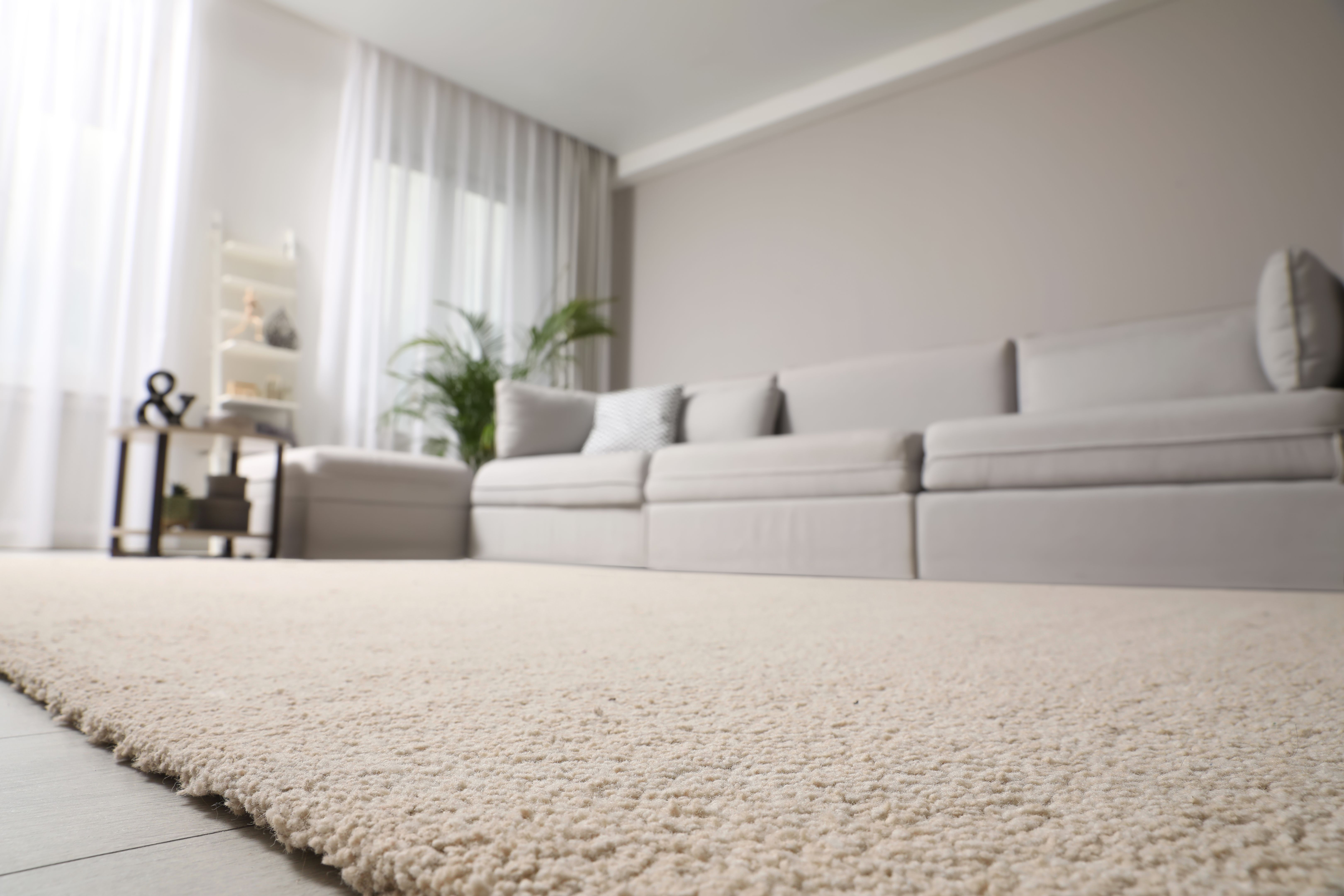 cozy carpet