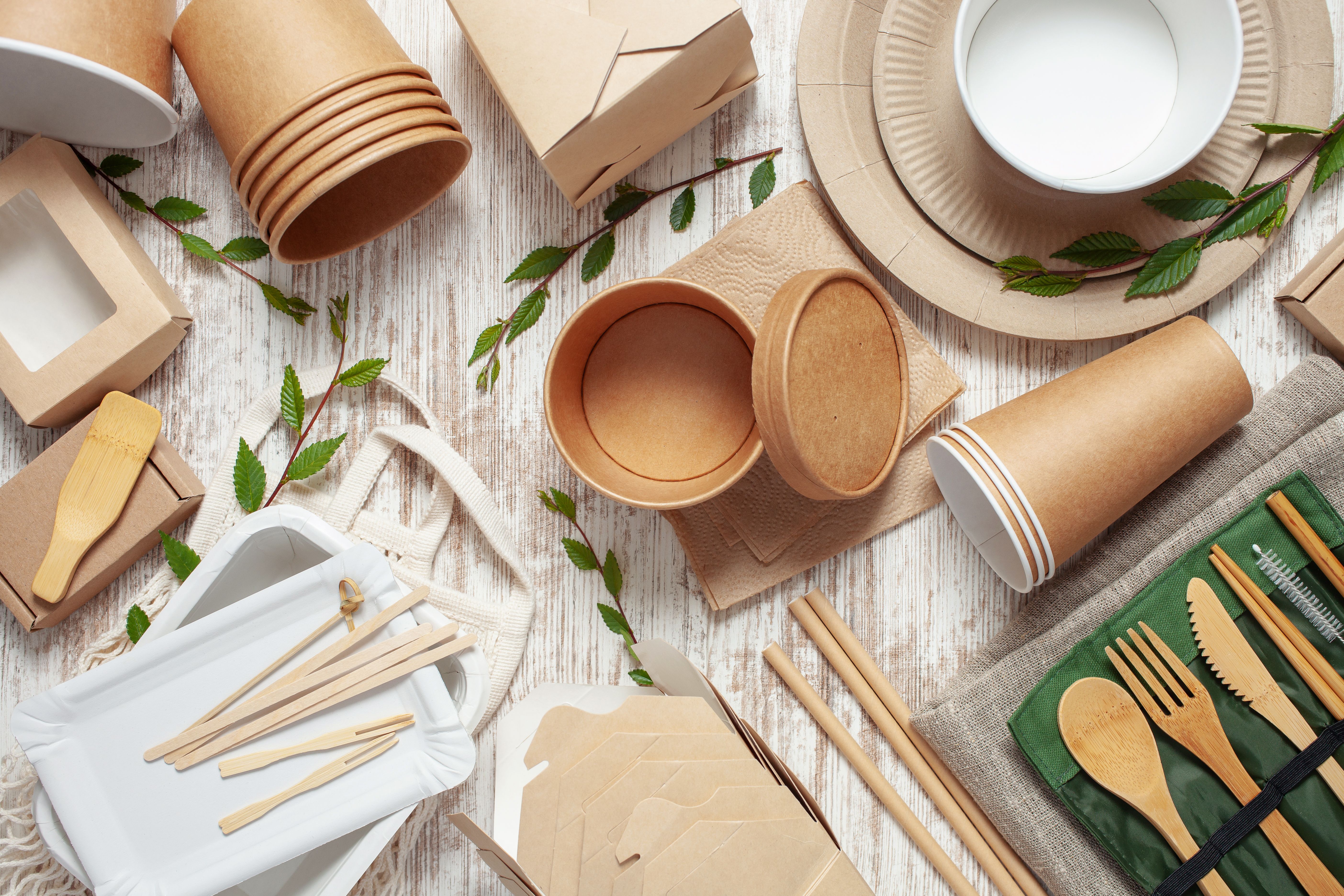 sustainable party