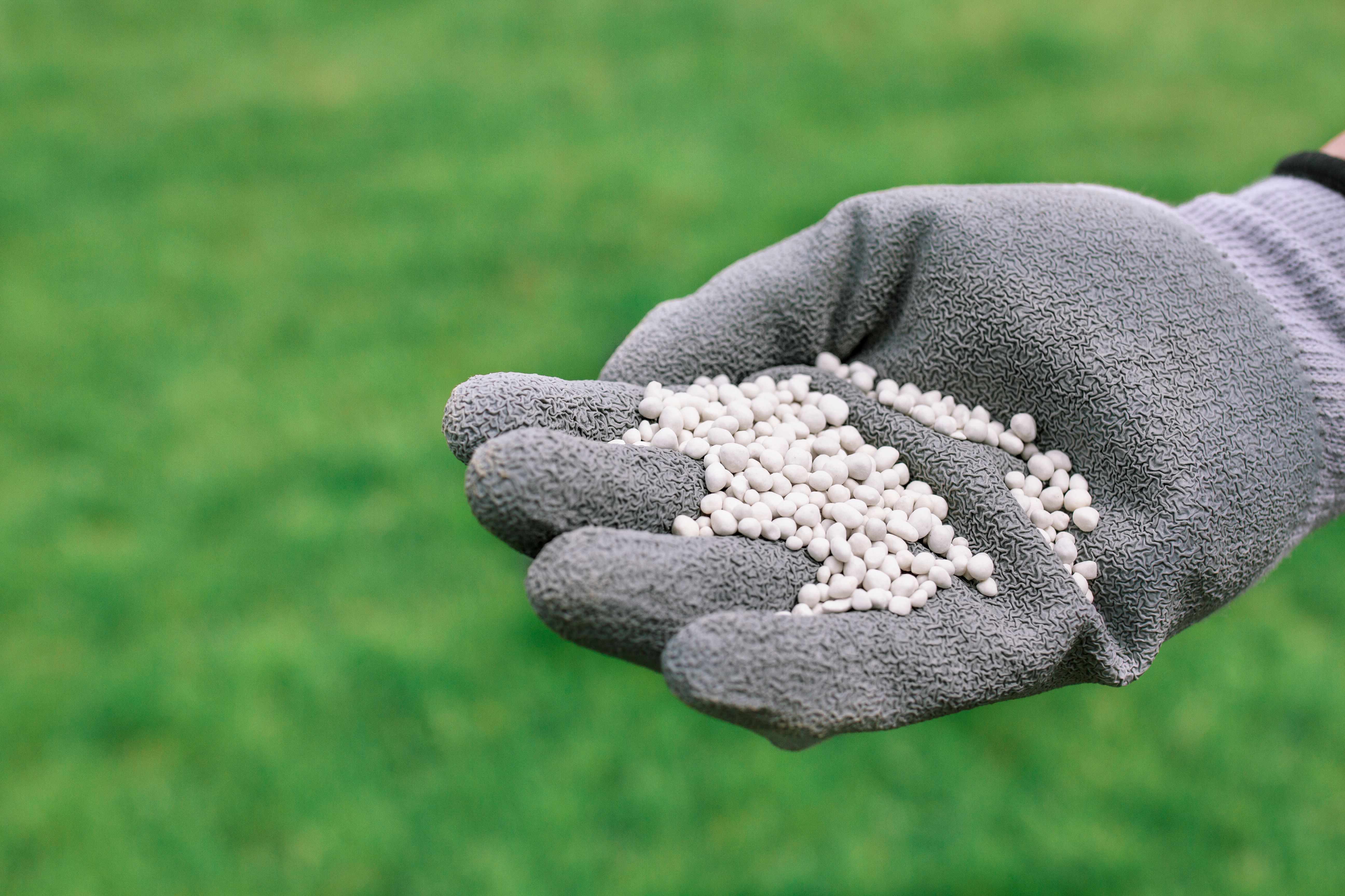 lawn fertilizer