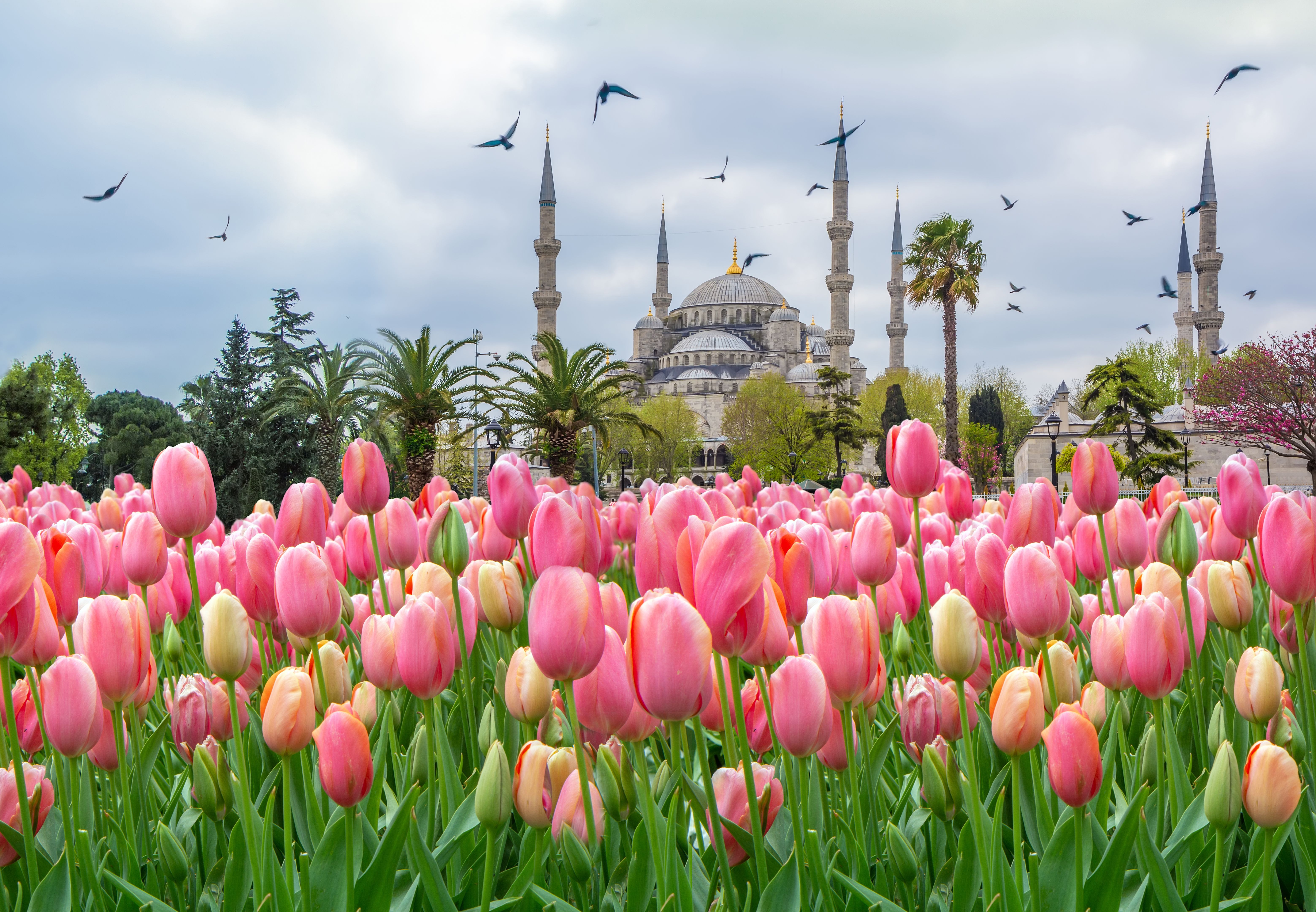 istanbul spring