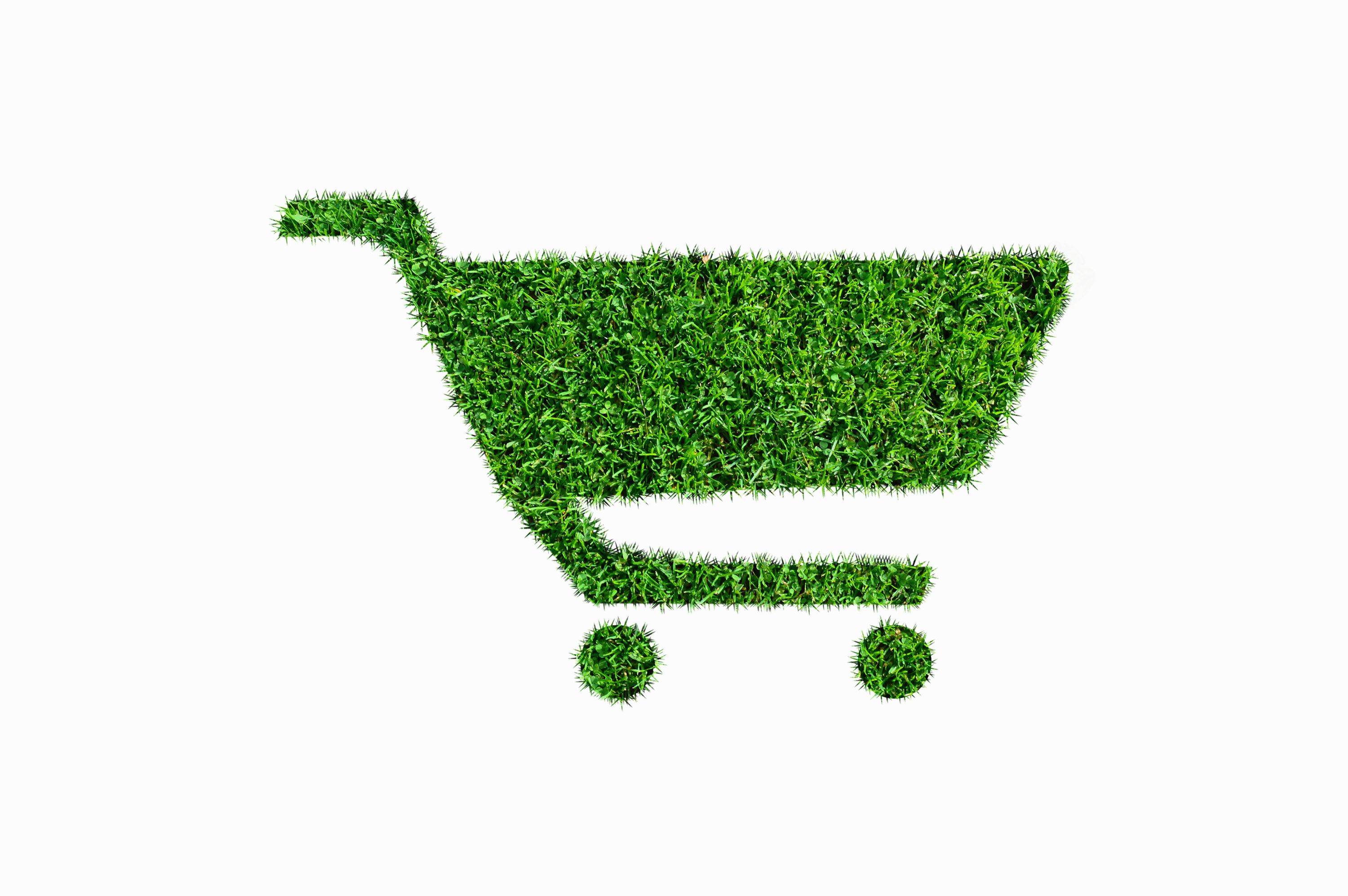 shopping green products