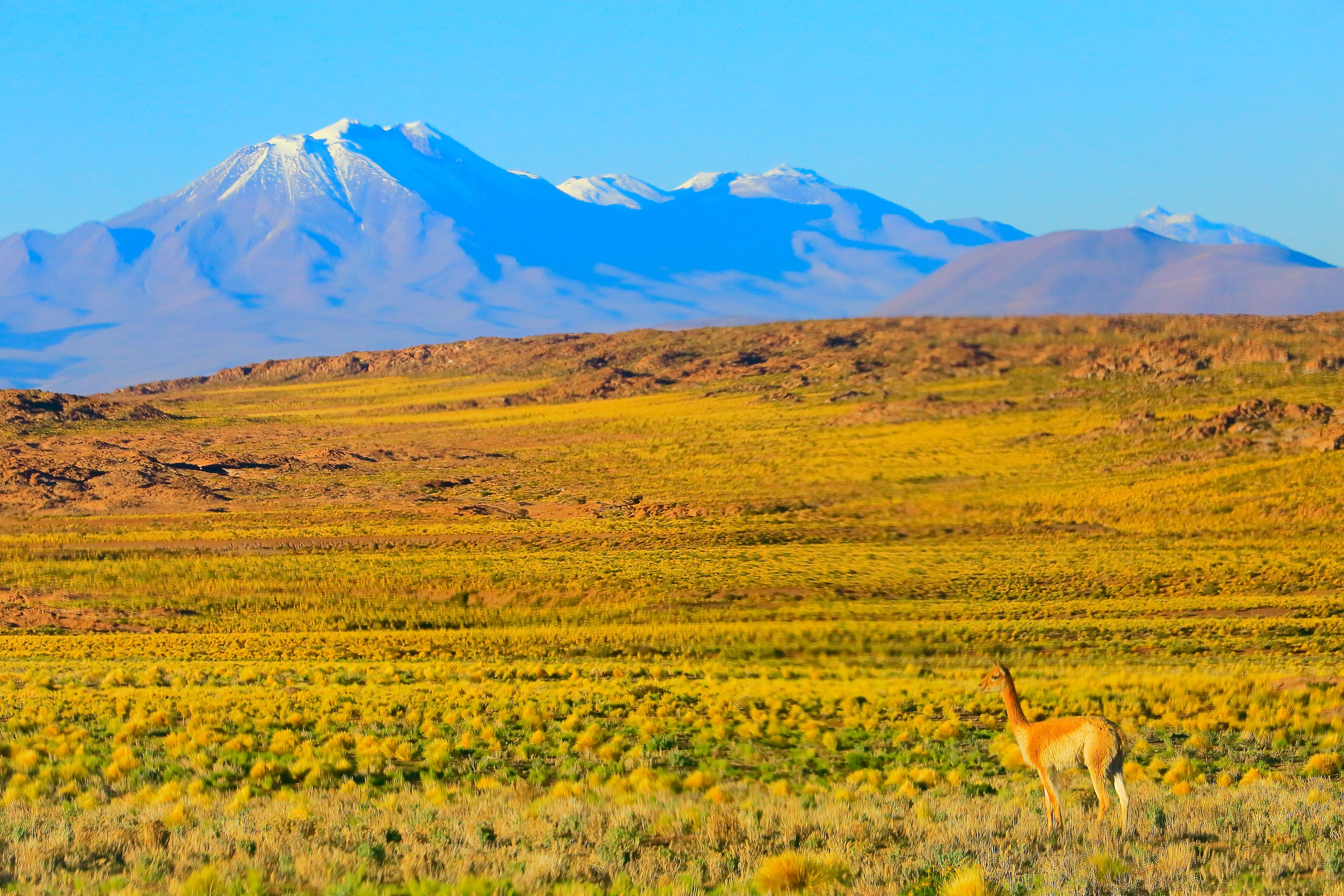 peru landscape
