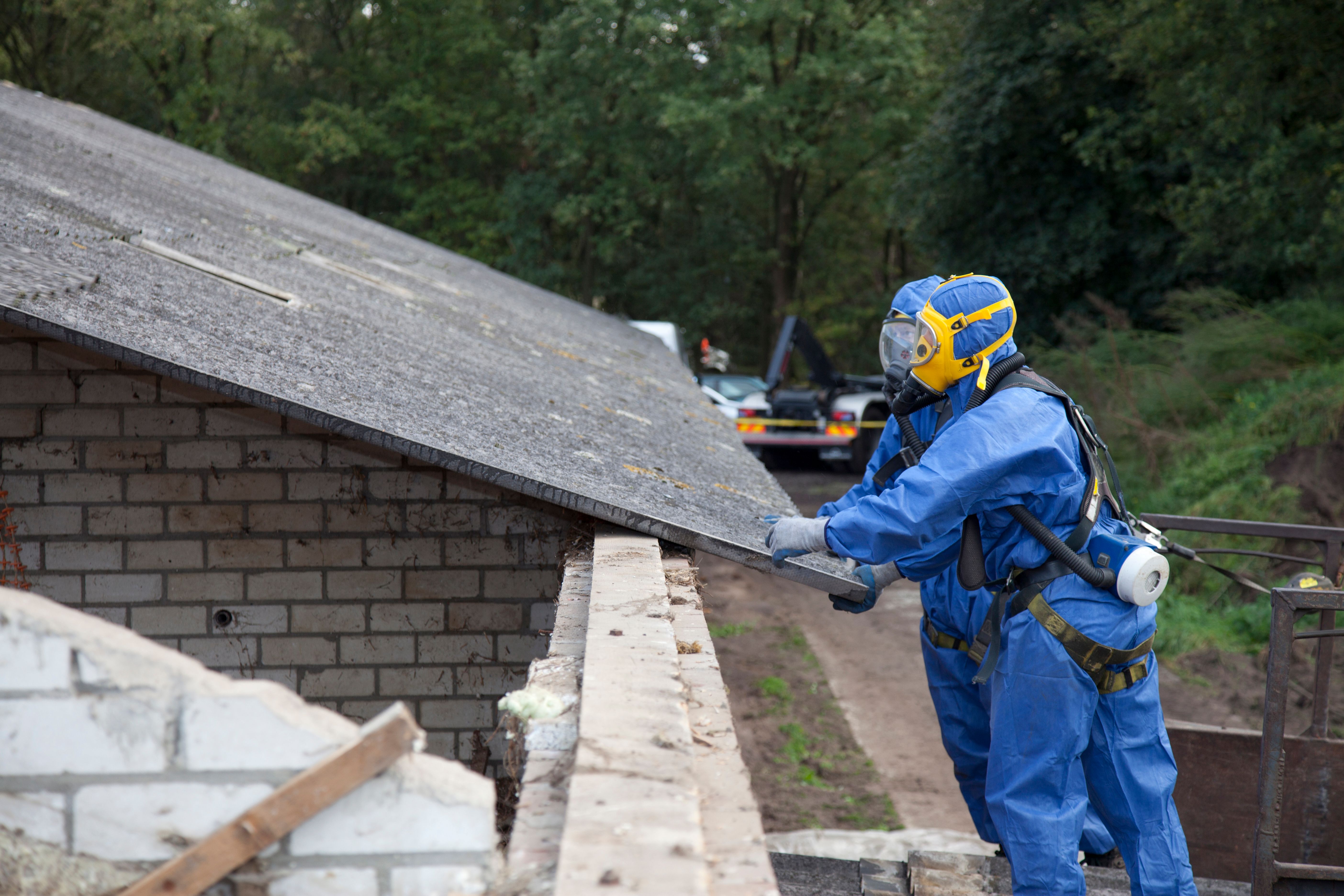 asbestos abatement process